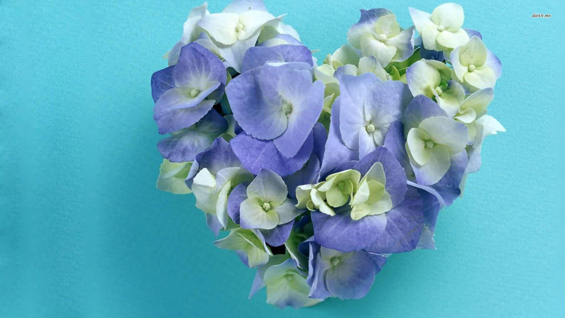 Hydrangea in shape of a heart wallpaper. Wallpaper Wide HD