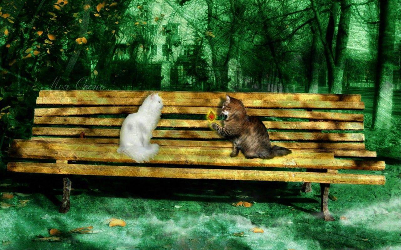 Cute Bench Wallpapers - Wallpaper Cave