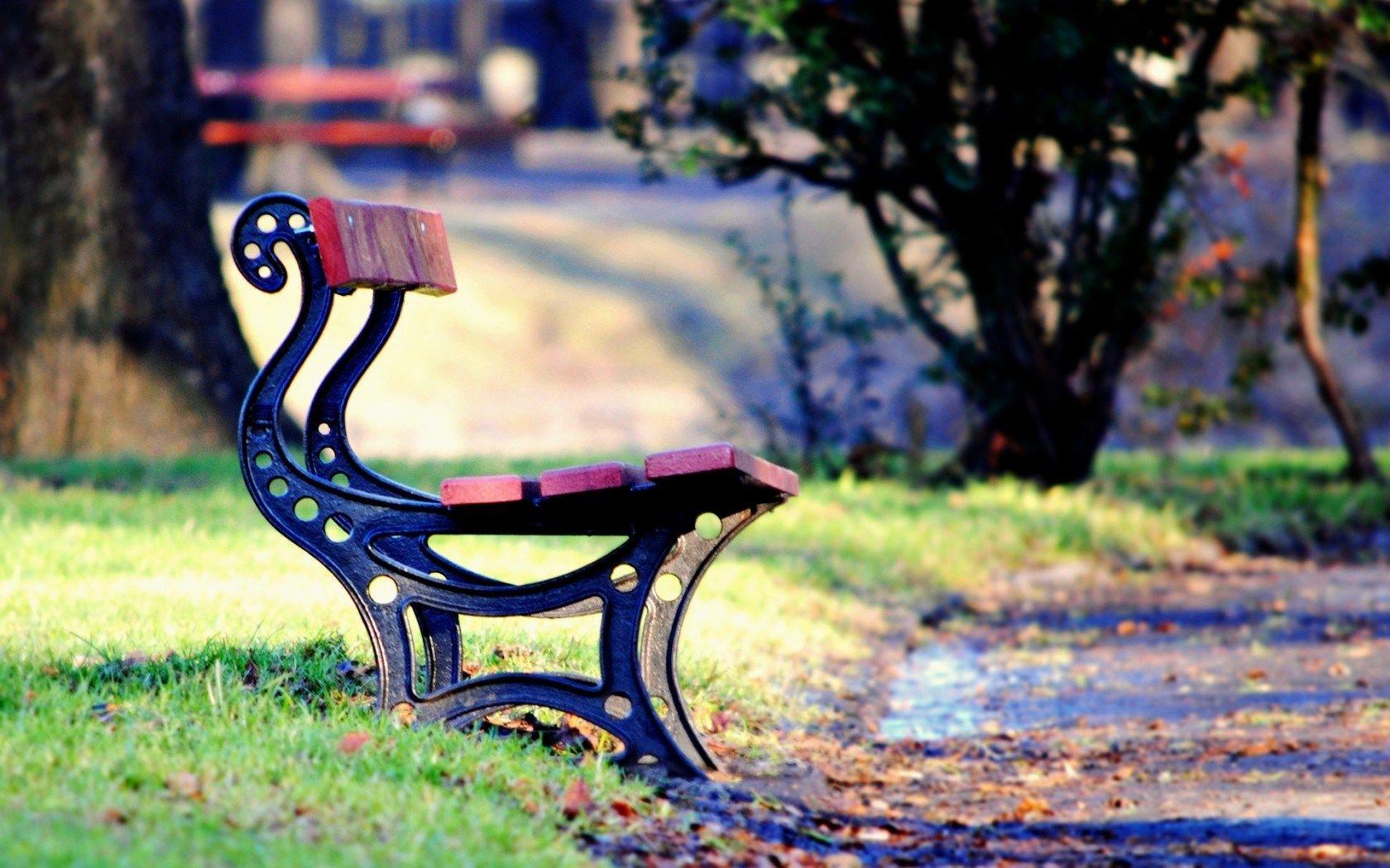 Mood Bench Park Leaves Path Fall Autumn