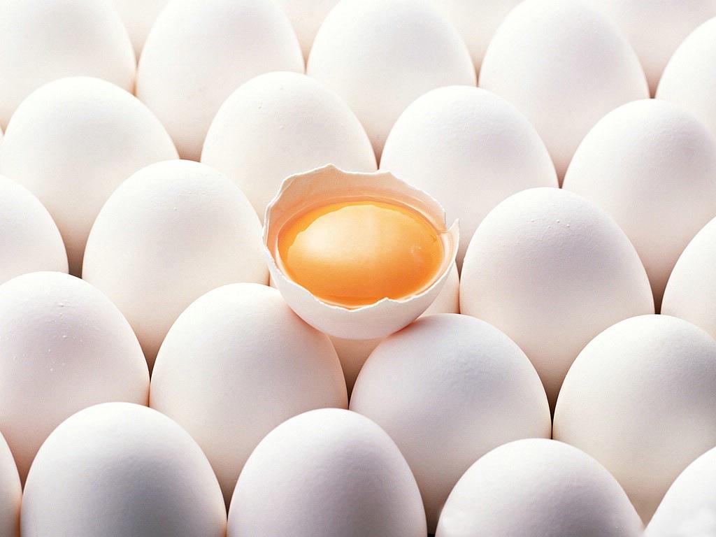 Half Dozen Eggs HD Wallpaper, Background Image