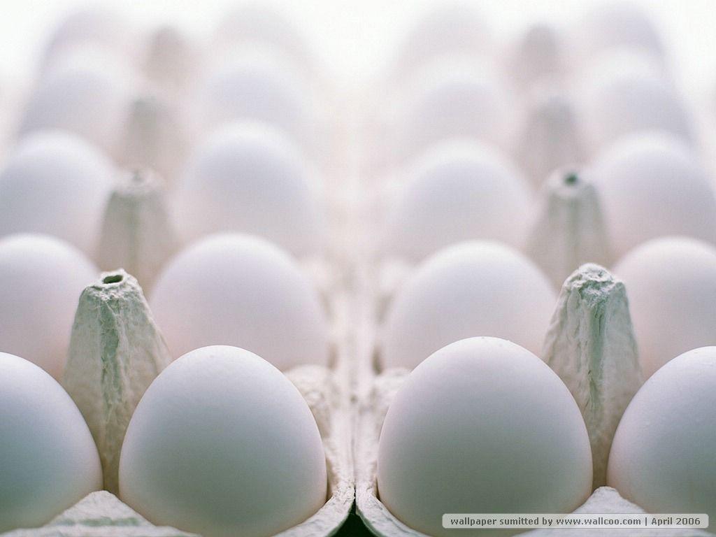 Eggs Wallpaper