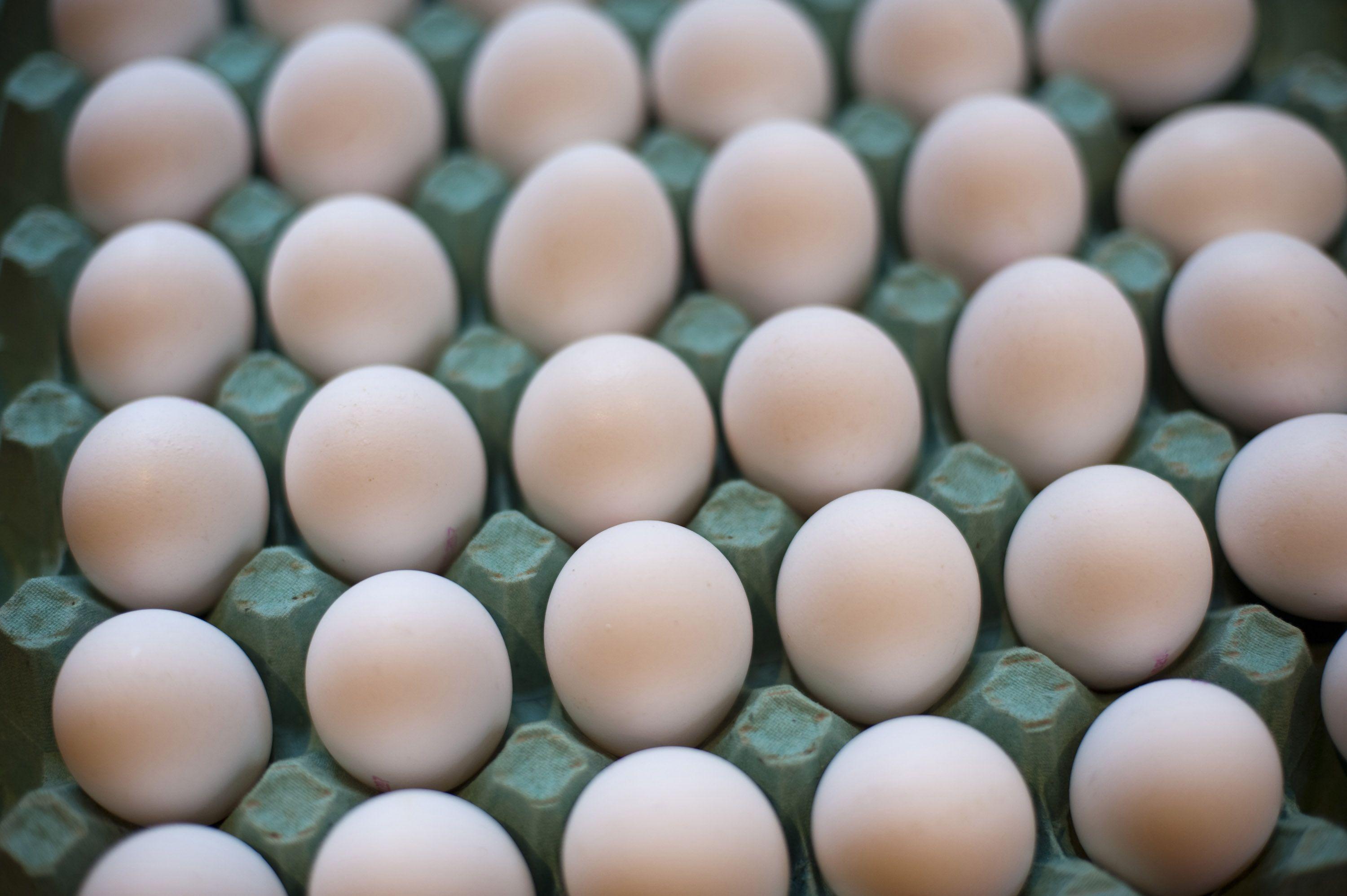Hite Eggs In Carton HD Wallpaper, Background Image