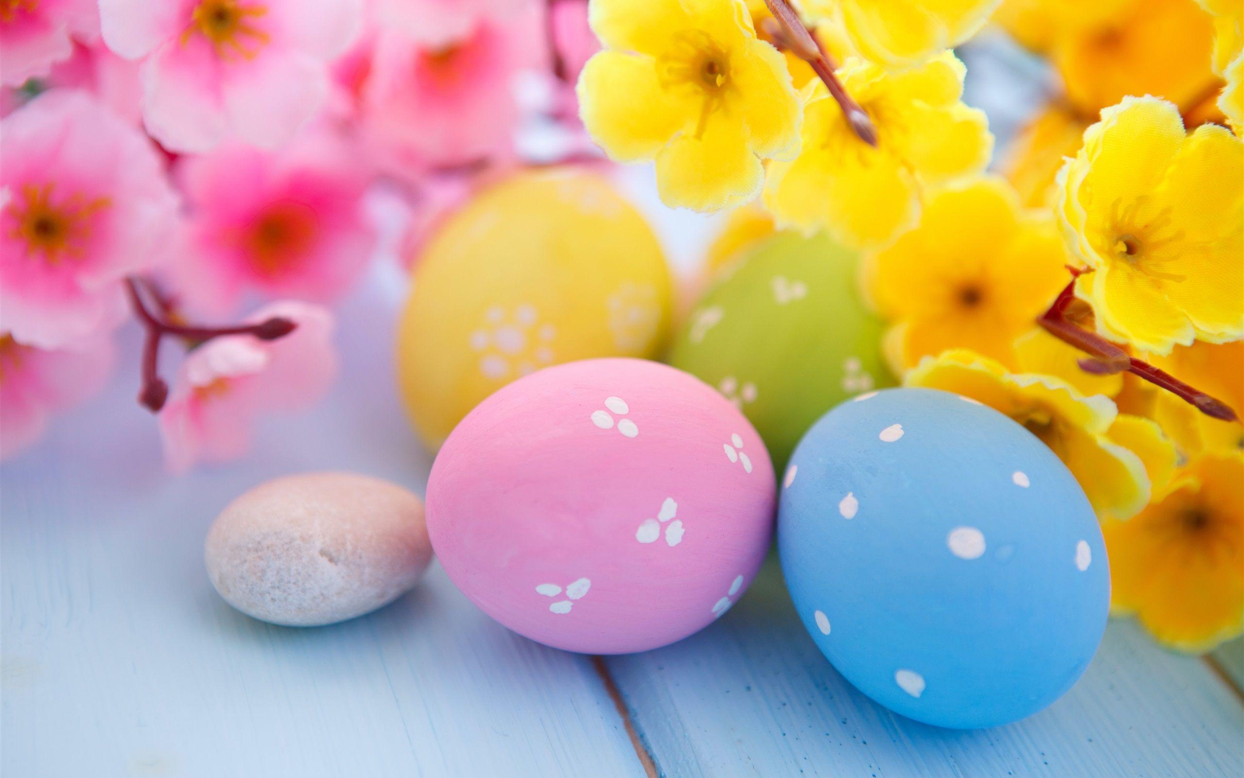 Easter Eggs and Spring Blossoms, HD Celebrations, 4k Wallpaper