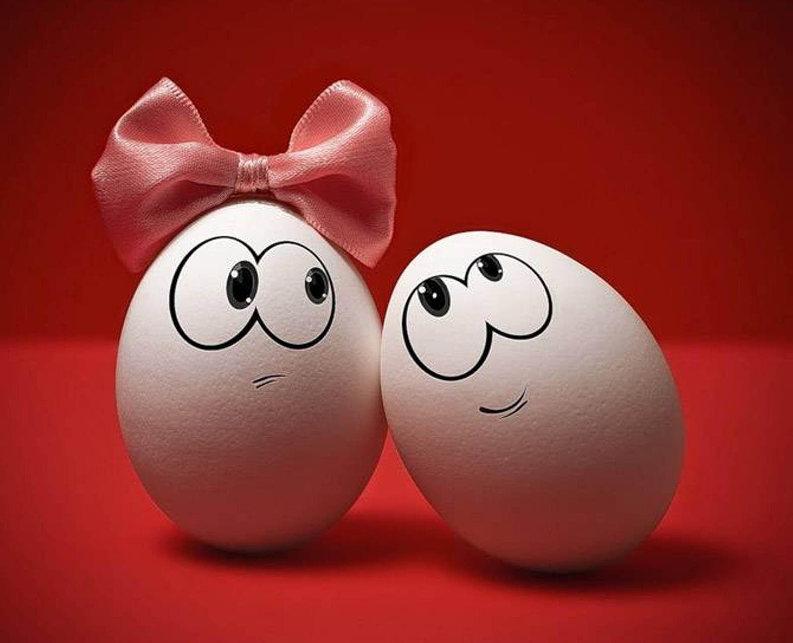 Download wallpaper 1575x1278 eggs, couple, bow, emotions HD background