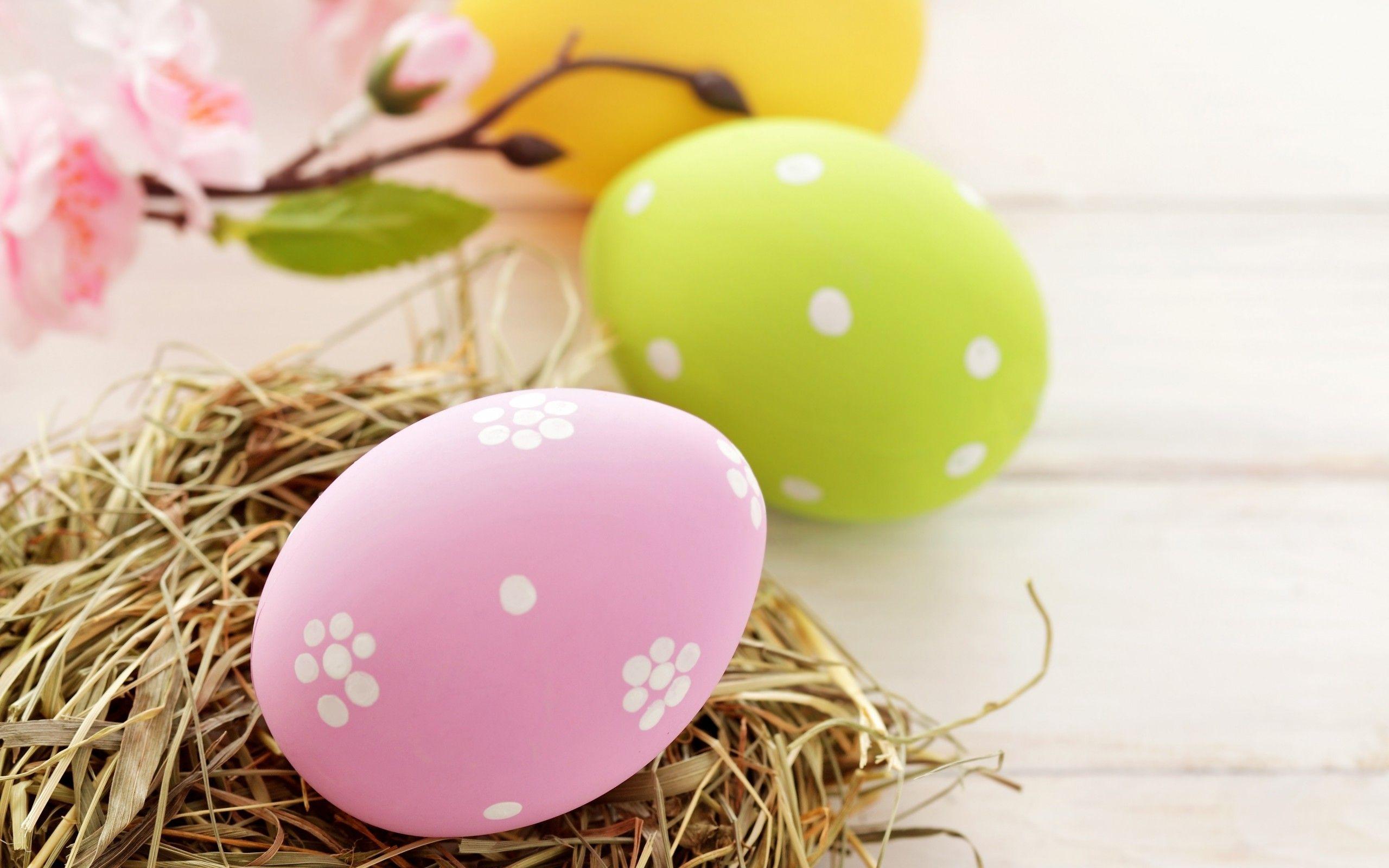 Eggs Easter pink yellow green spring holiday wallpaperx1600
