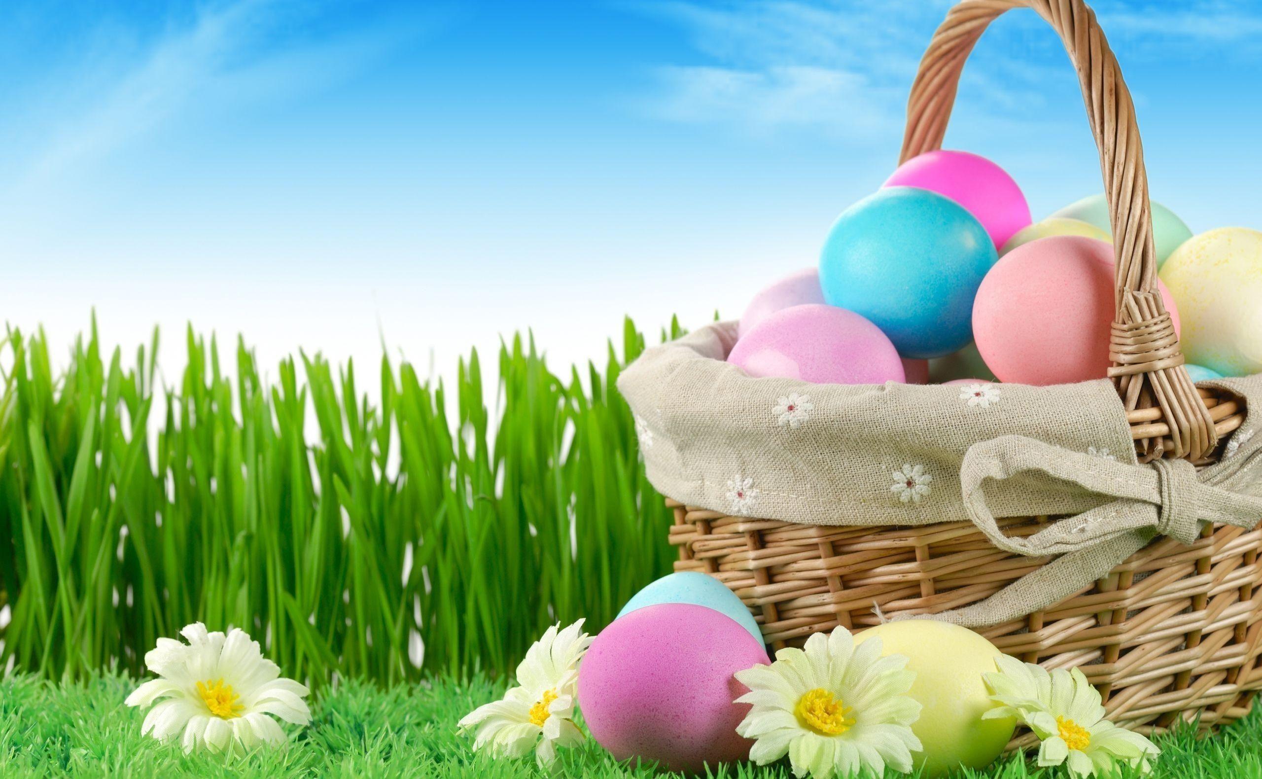 Easter Wallpaper HD download free colletion. HD Wallpaper