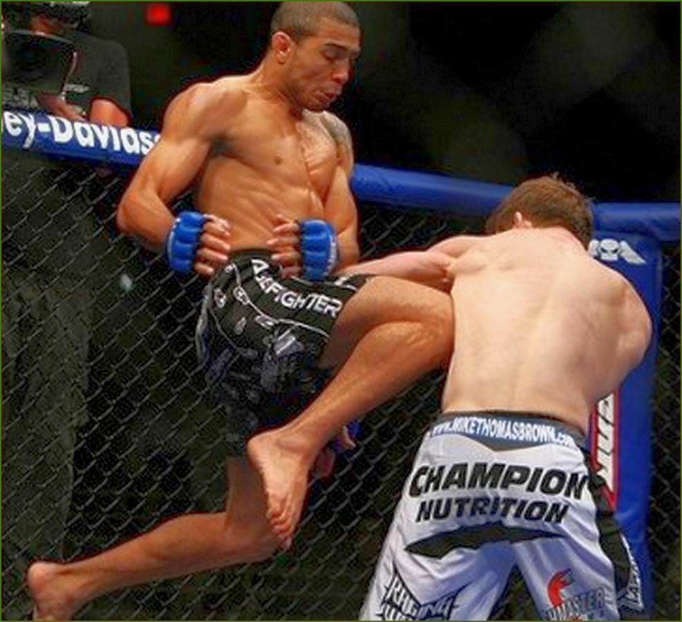 WWE Jose Aldo vs Knee Zuffa