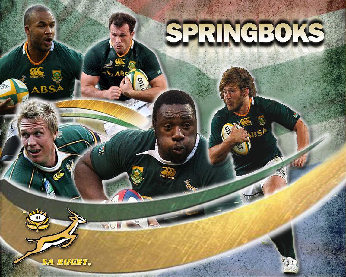 Springboks Download HD Wallpaper and Free Image