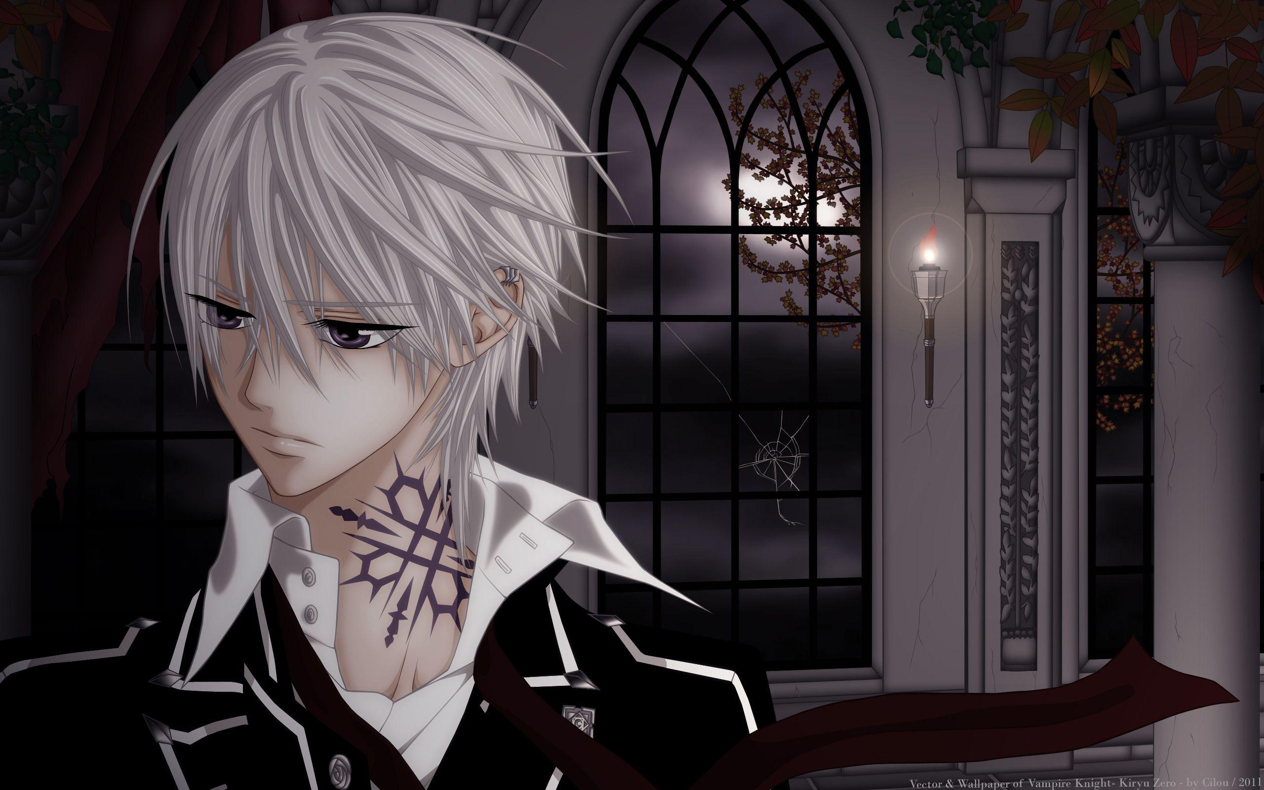 Vampire Knight HD Wallpaper and Background Image