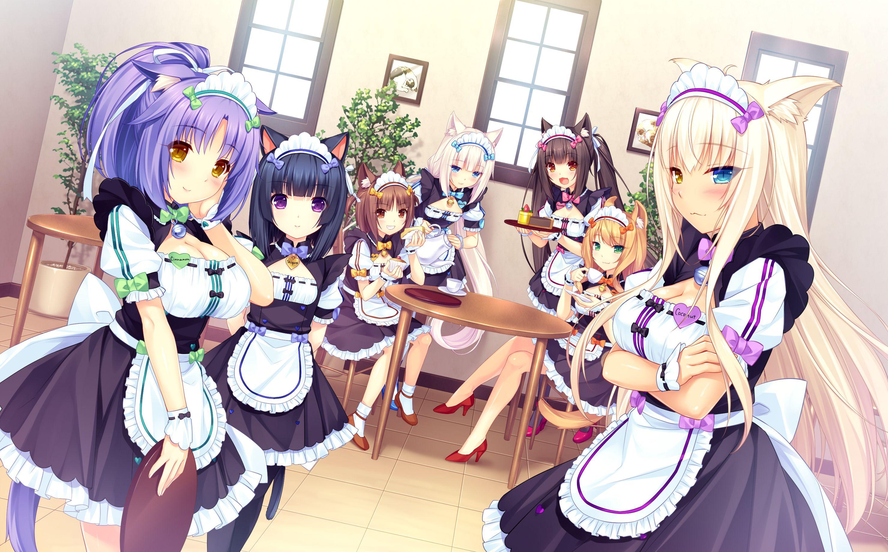 Maid HD Wallpaper and Background Image
