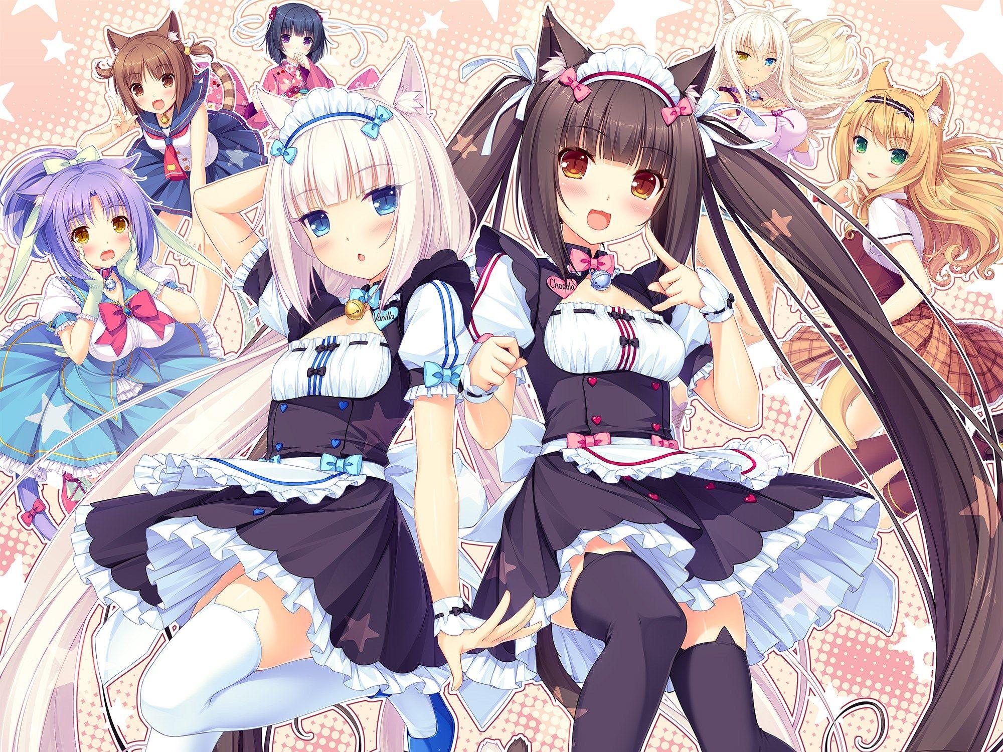Nekopara r34