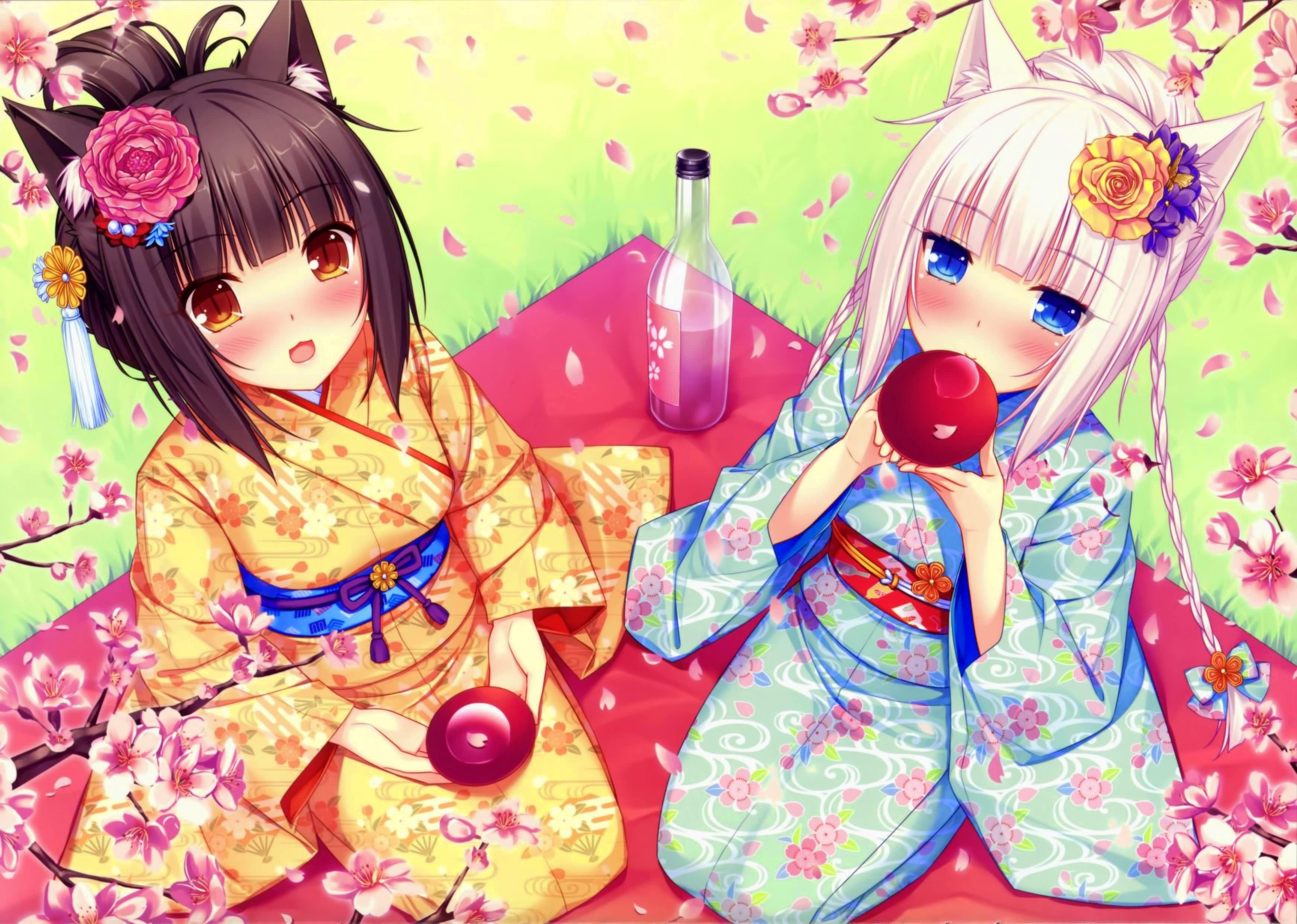 Nekopara Wallpapers - Wallpaper Cave