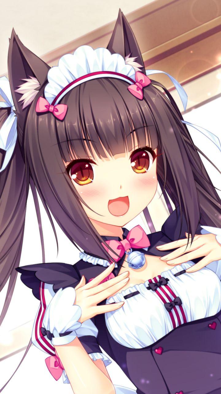 Nekopara Wallpapers - Wallpaper Cave