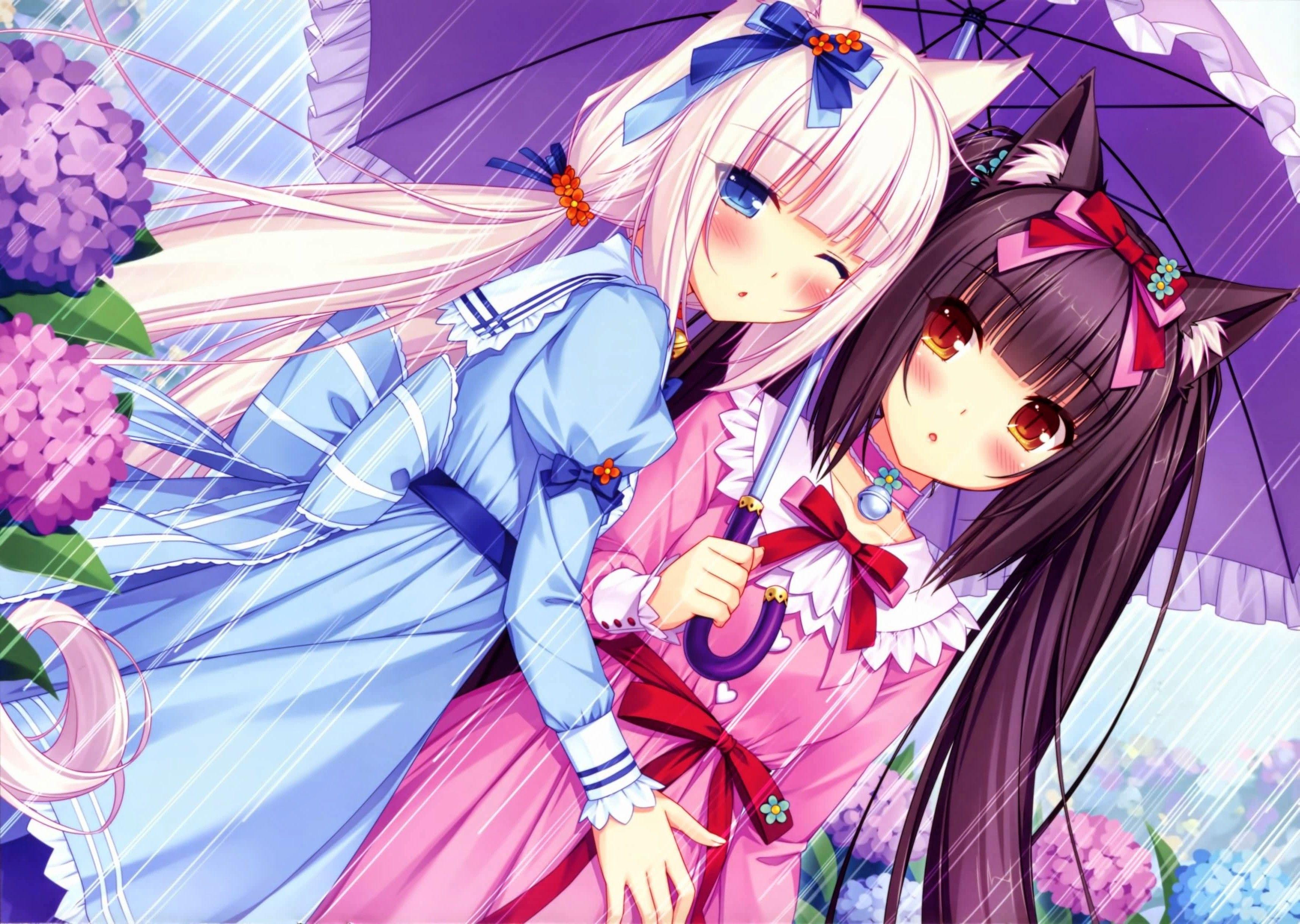 Nekopara Wallpapers - Wallpaper Cave