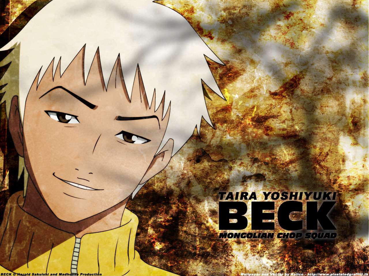 Free Wallpaper for your Computer and Laptop: Beck Wallpaper