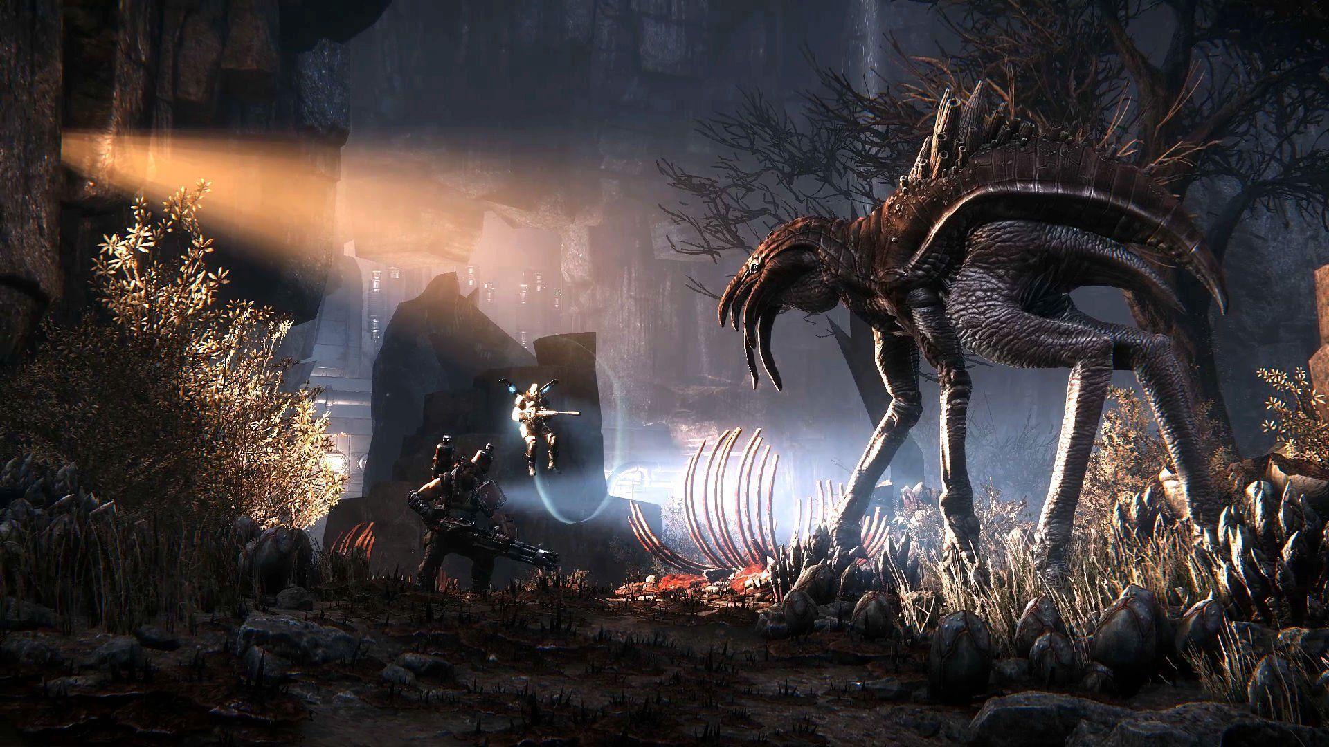 Evolve Wallpaper, HDQ Picture for mobile and desktop