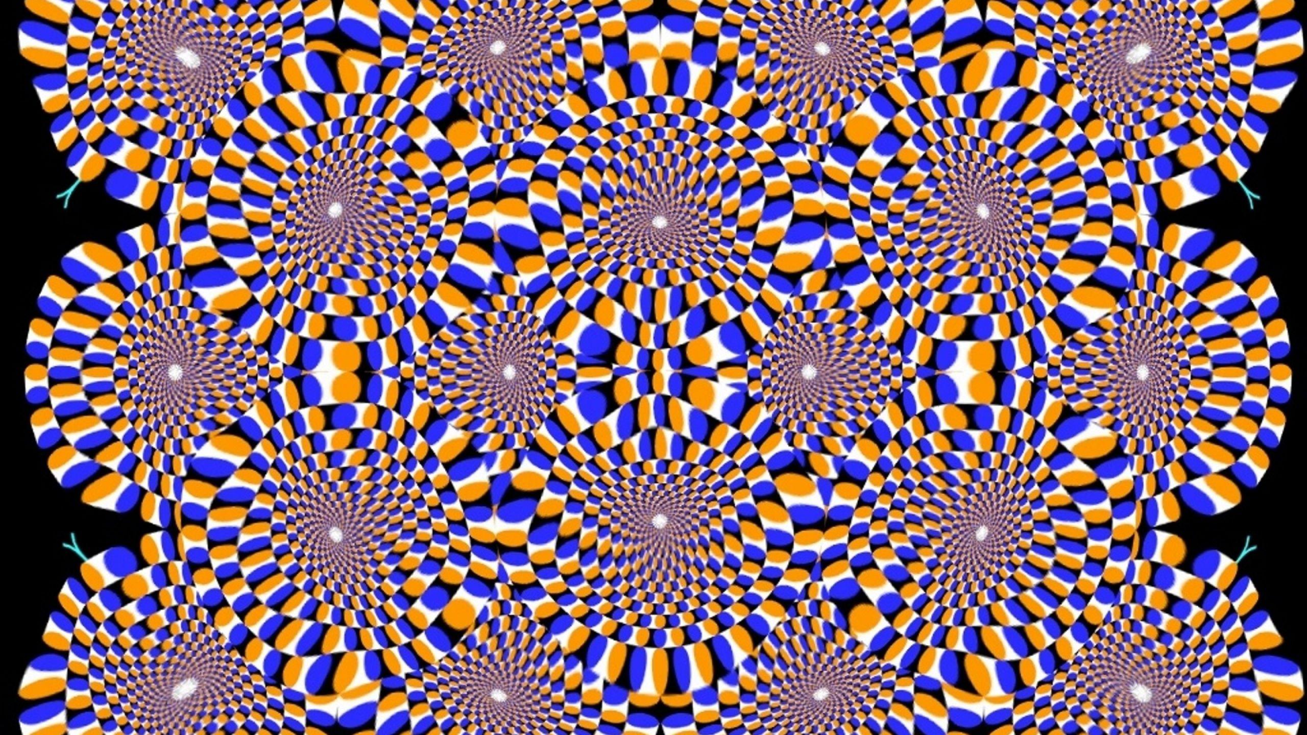 Free Optical Illusion Wallpaper