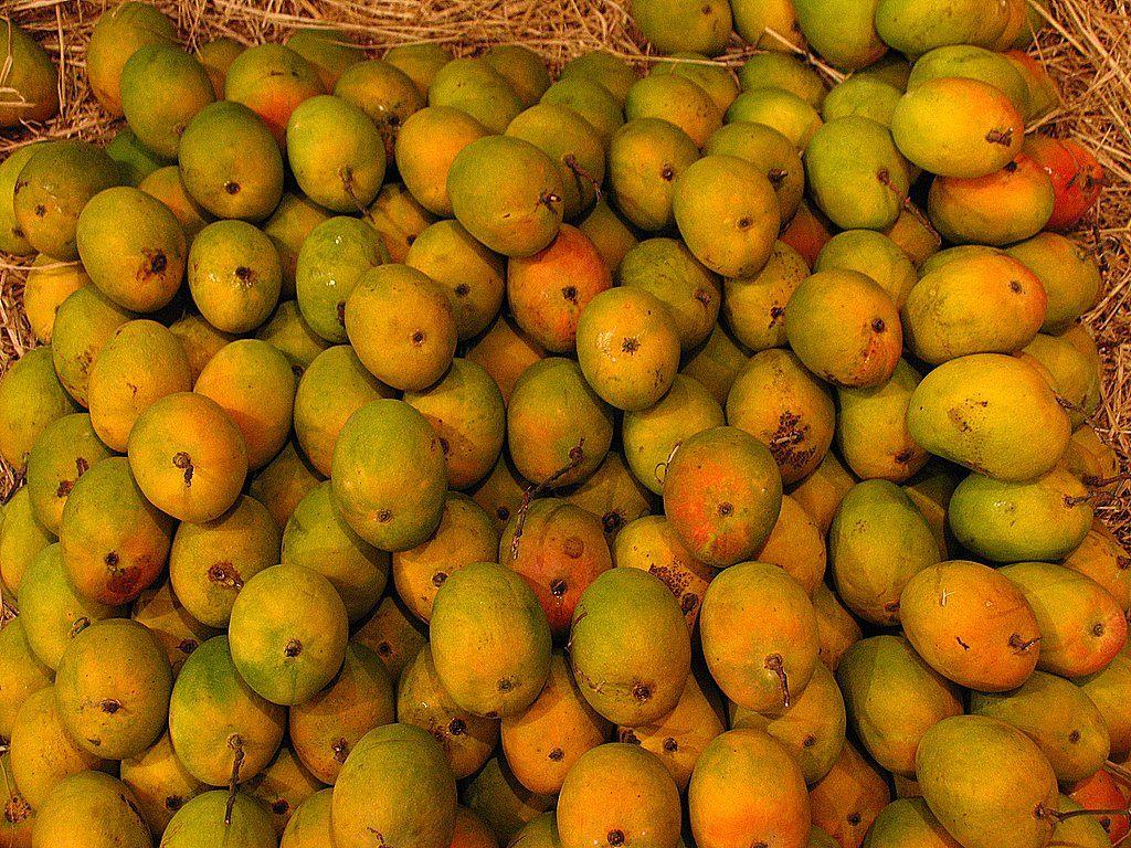 Mumbai Daily Photo: mango mango mango