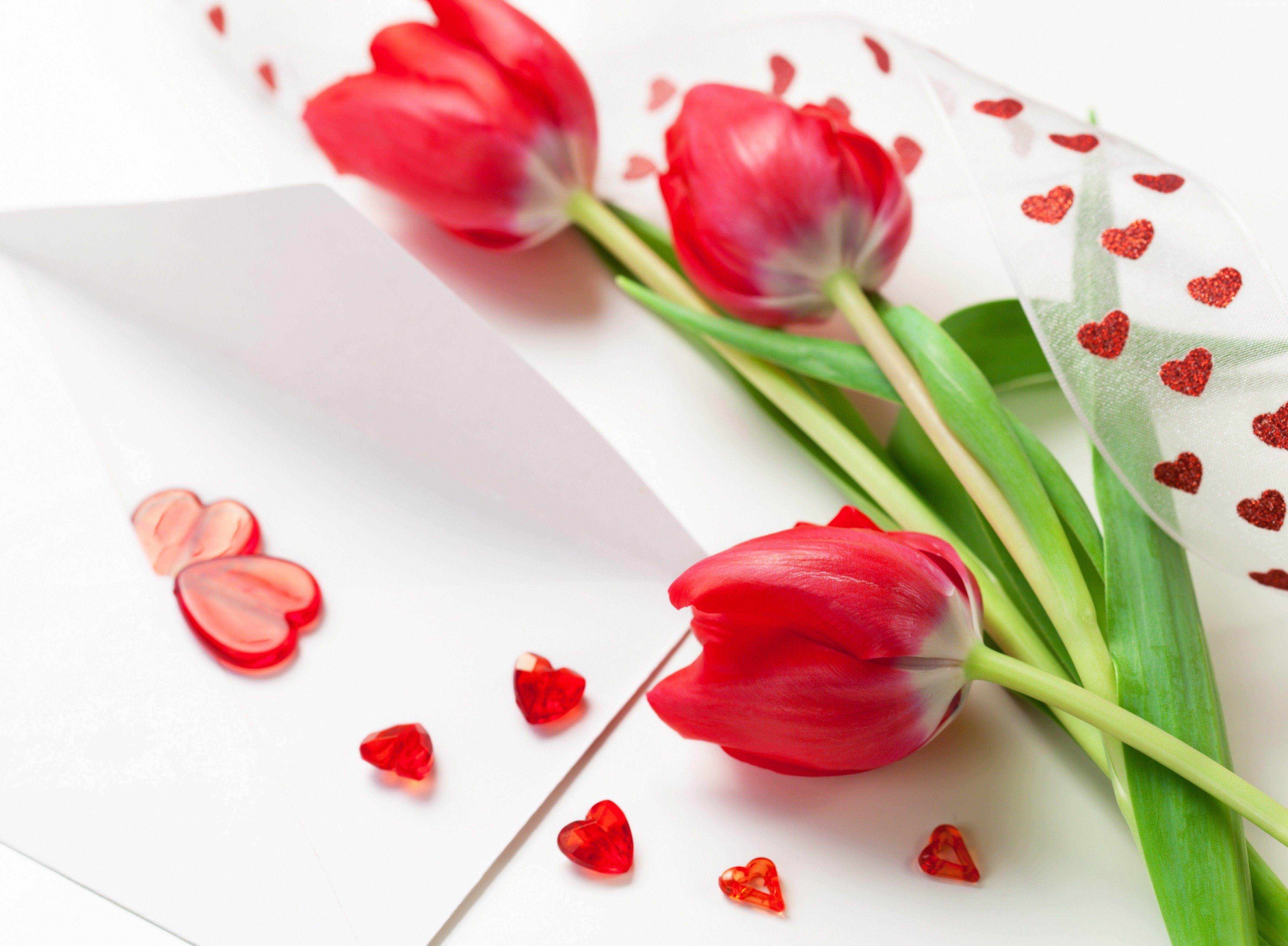 Wallpaper Tulip, 5k, 4k wallpaper, spring, flower, red, heart