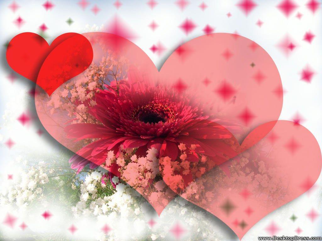 Love Love Heart Flowers wallpaper Desktop, Phone, Tablet