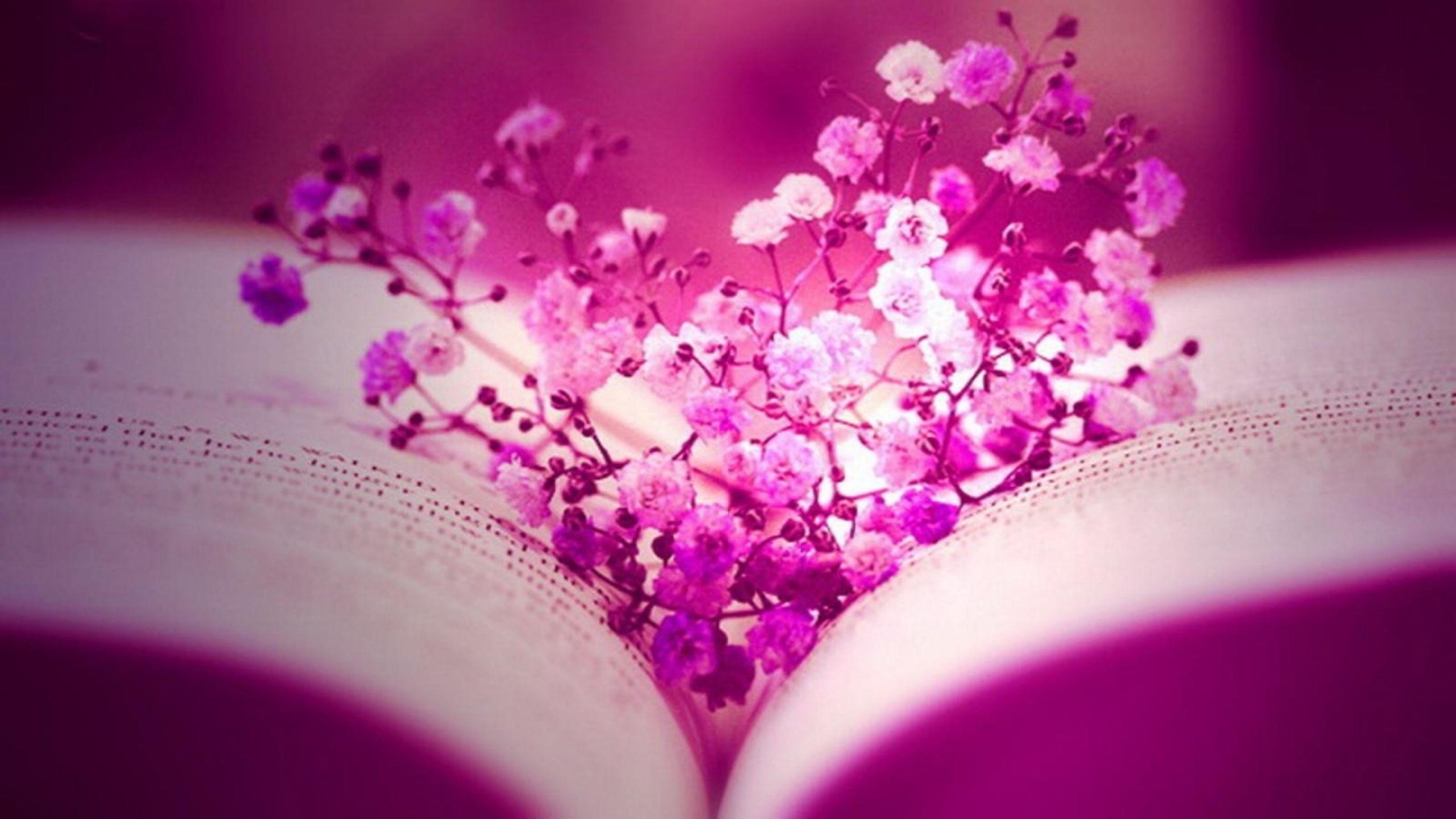 Hot Pink Glitter Backgroundx1440 facebook flowers pink books