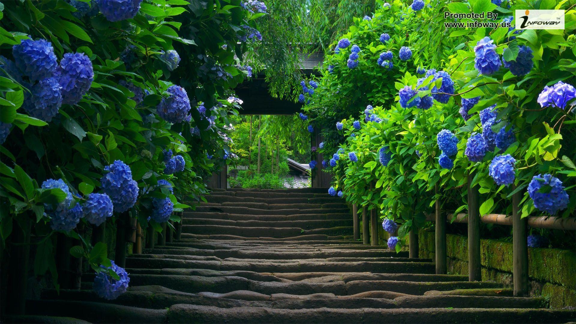Wallpaper HD Full Size. (42++ Wallpaper)
