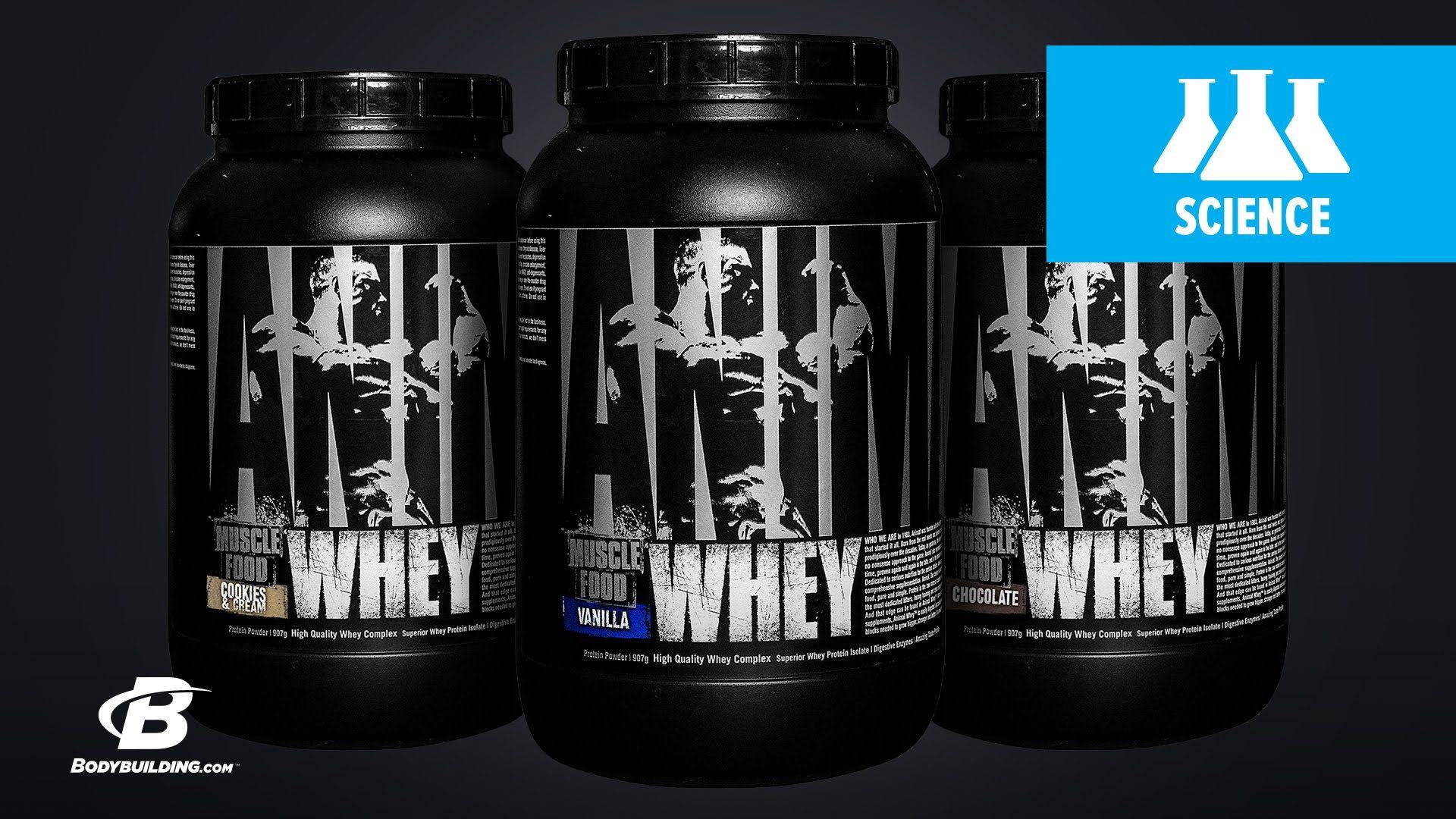 Universal Nutrition Animal Whey. Science Based Overview