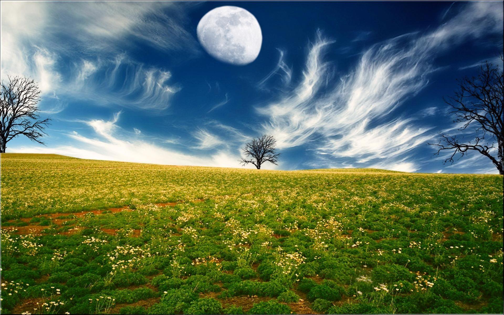 free nice background HD full HD amazing colourful 4k free hi res