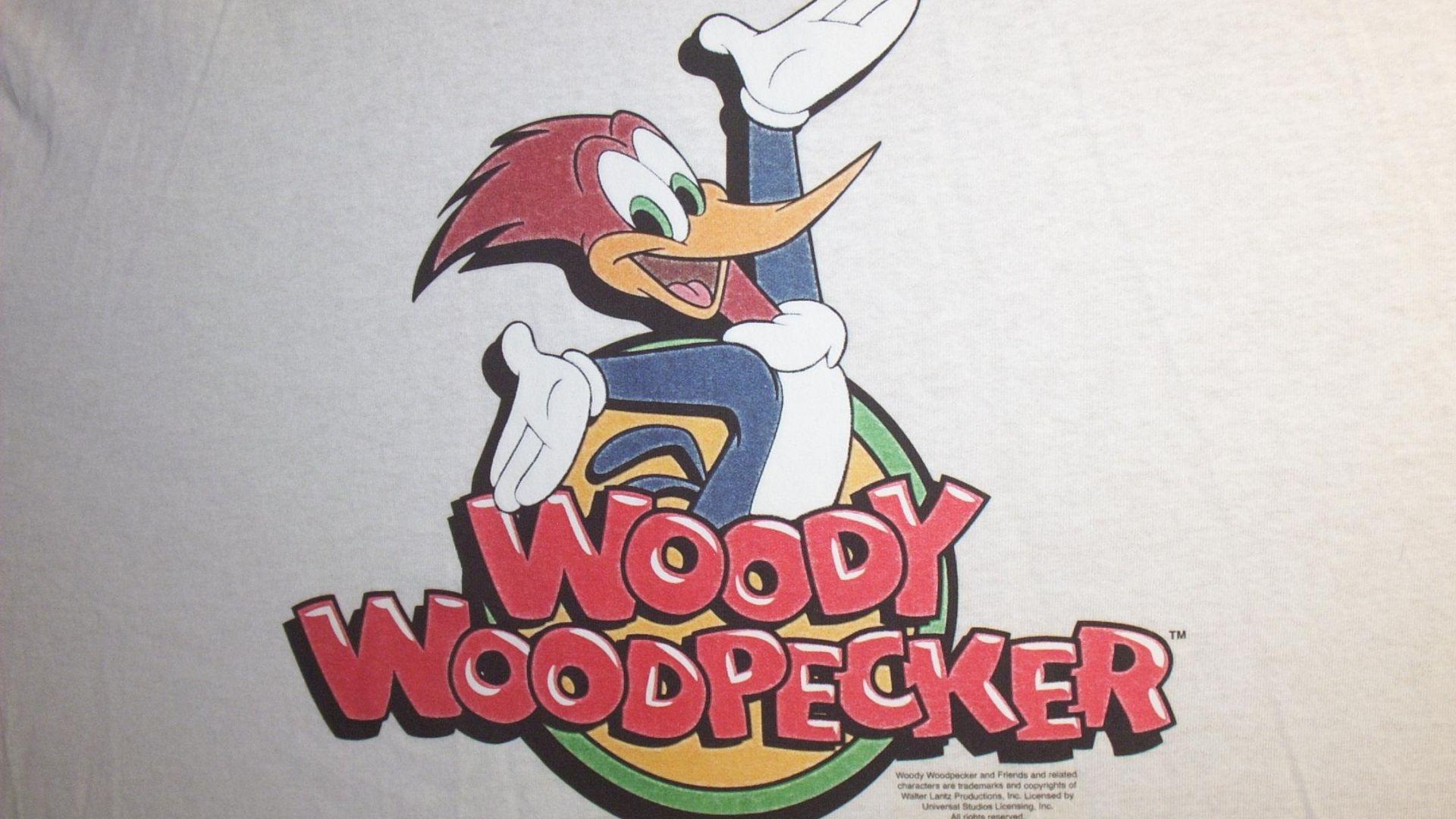 2160x1440px Woody Woodpecker Wallpaper