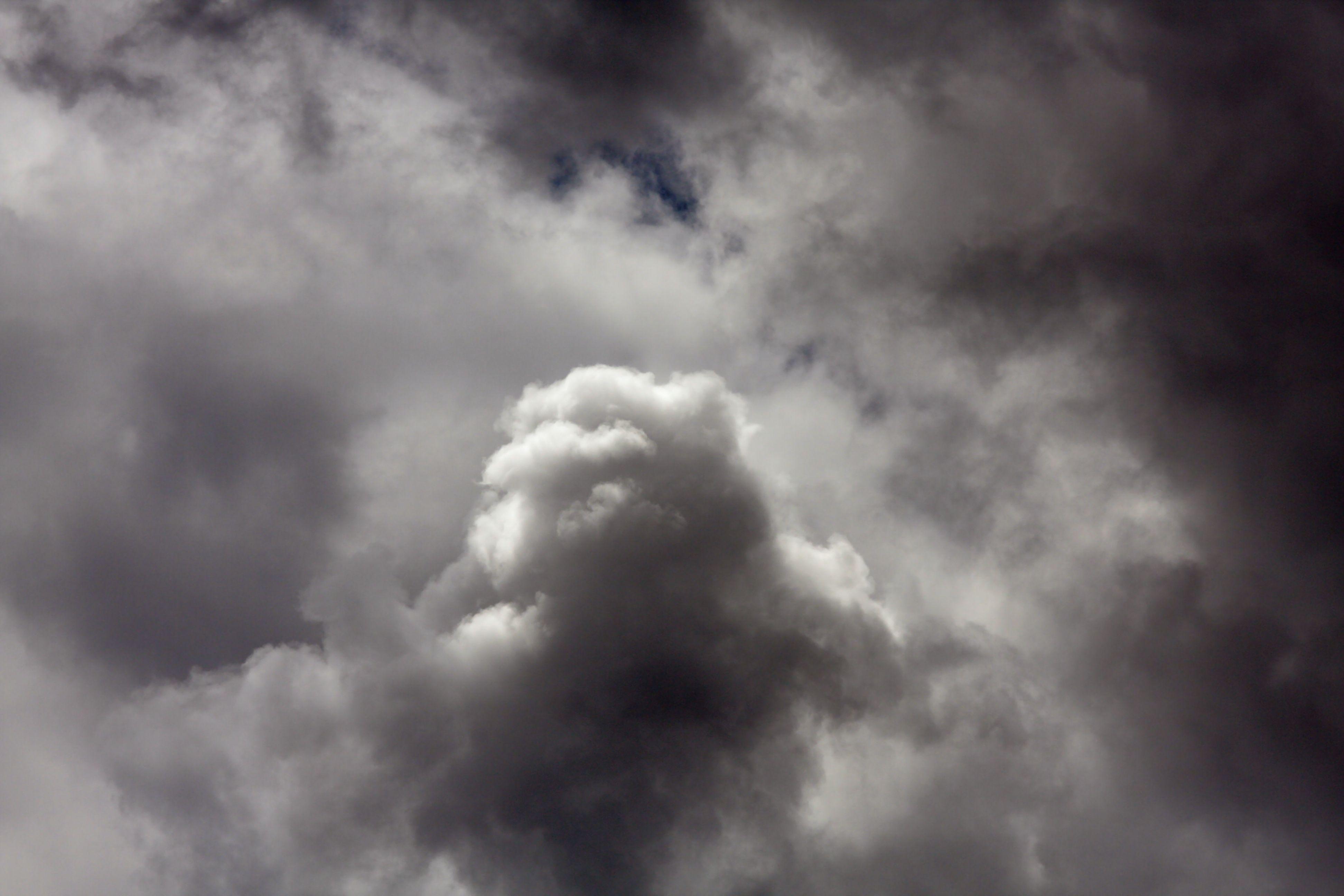 Seeing Animals in Clouds: The Cloud Eagle