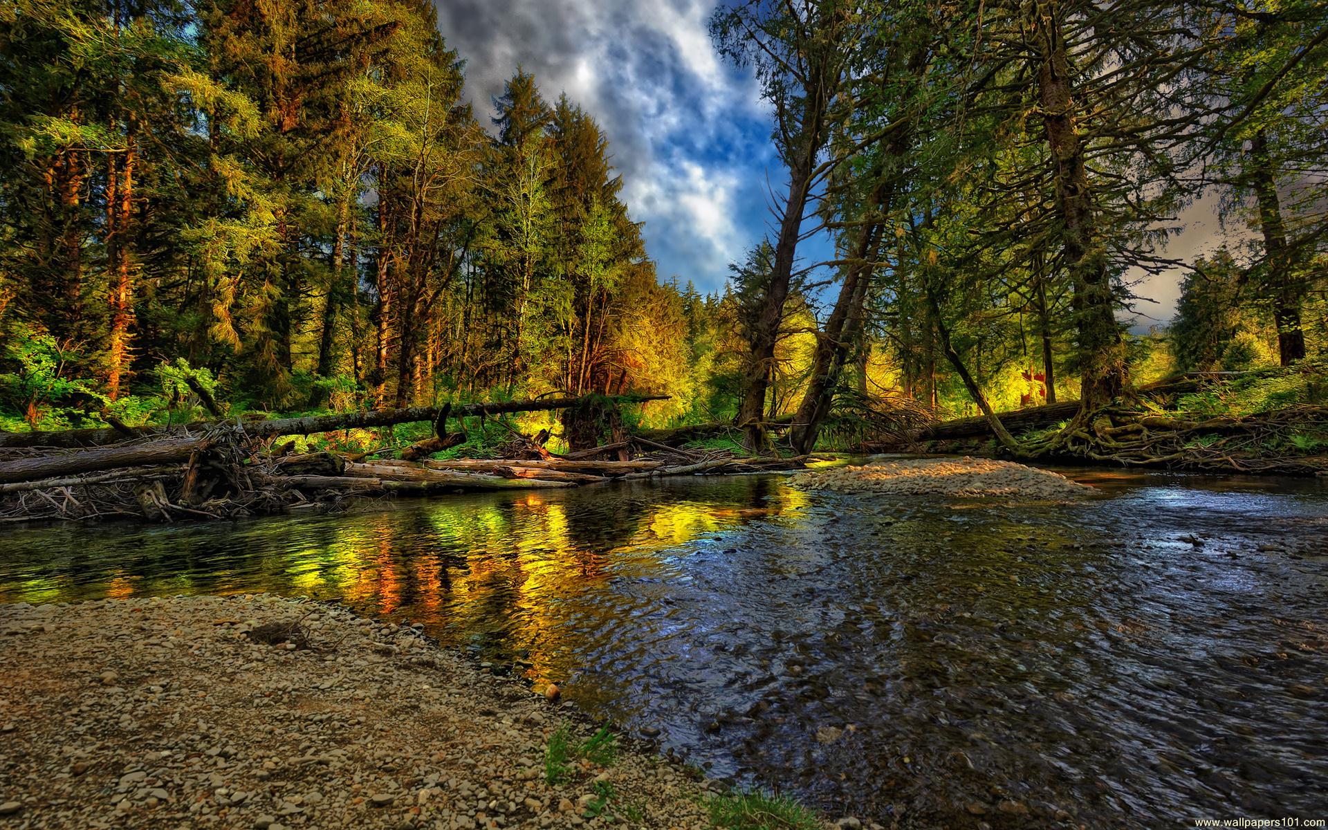 Natural Desktop Background