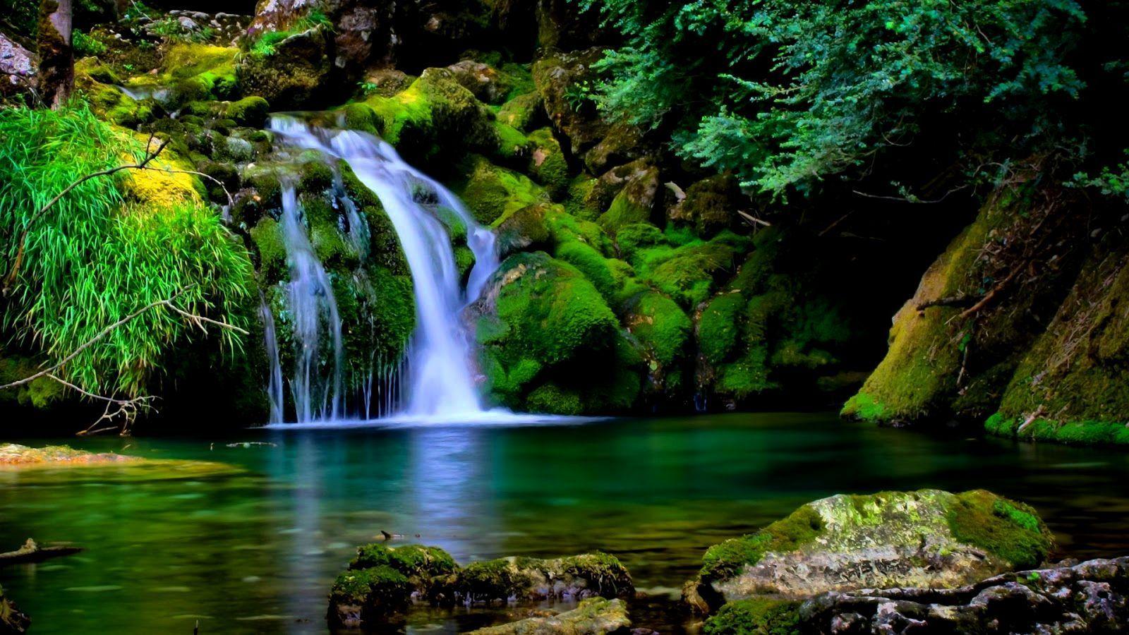 Size Desktop Wallpapers Wallpaper Cave