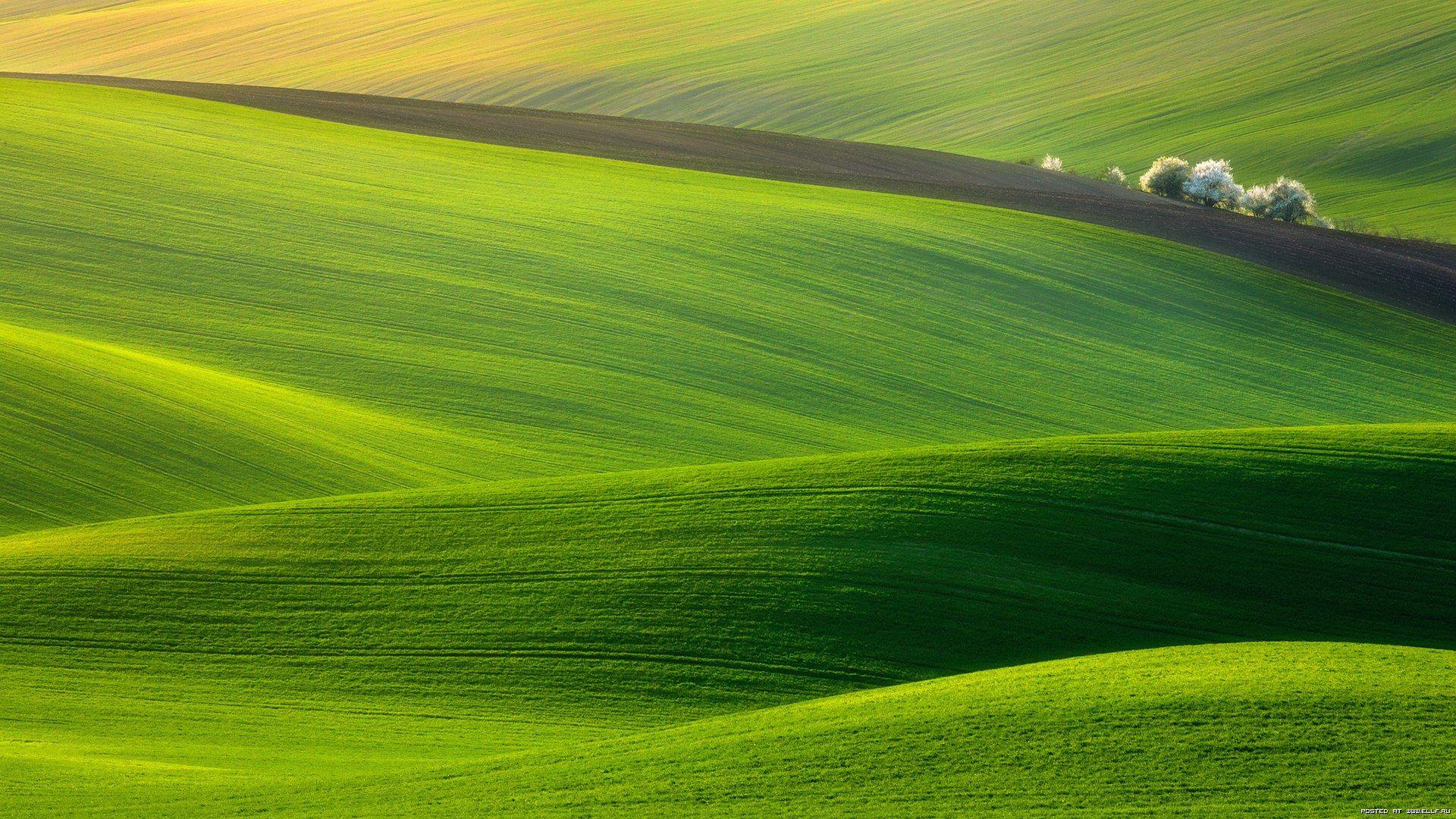 Computer Wallpaper Desktop For Wallpaper Size HD Background