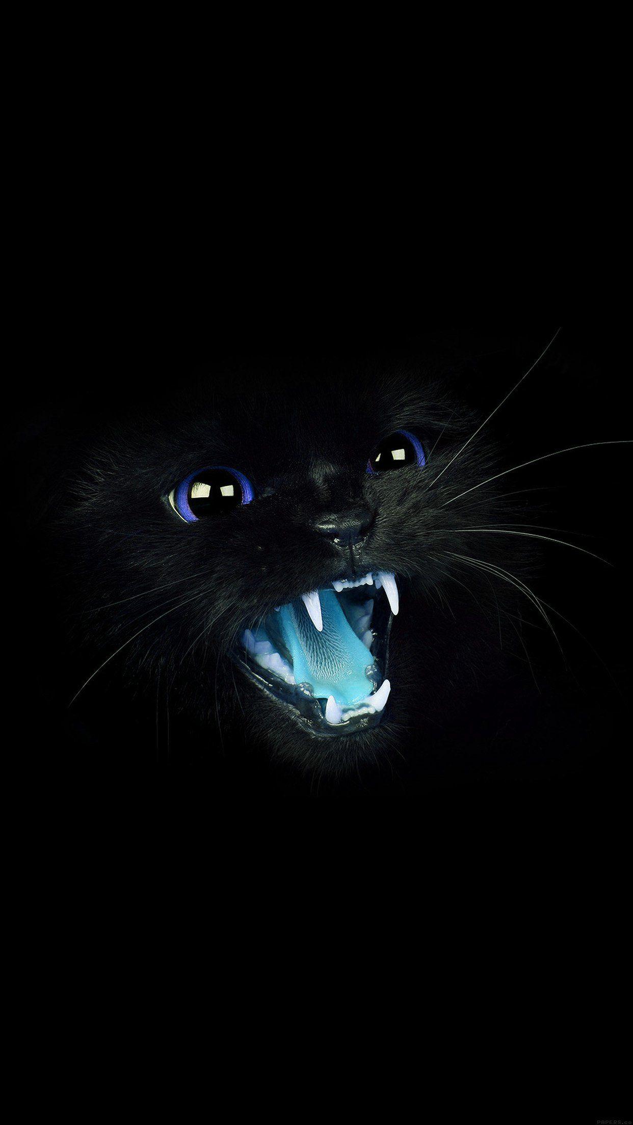 Black Cat Blue Eye Roar Animal Cute Android wallpaper
