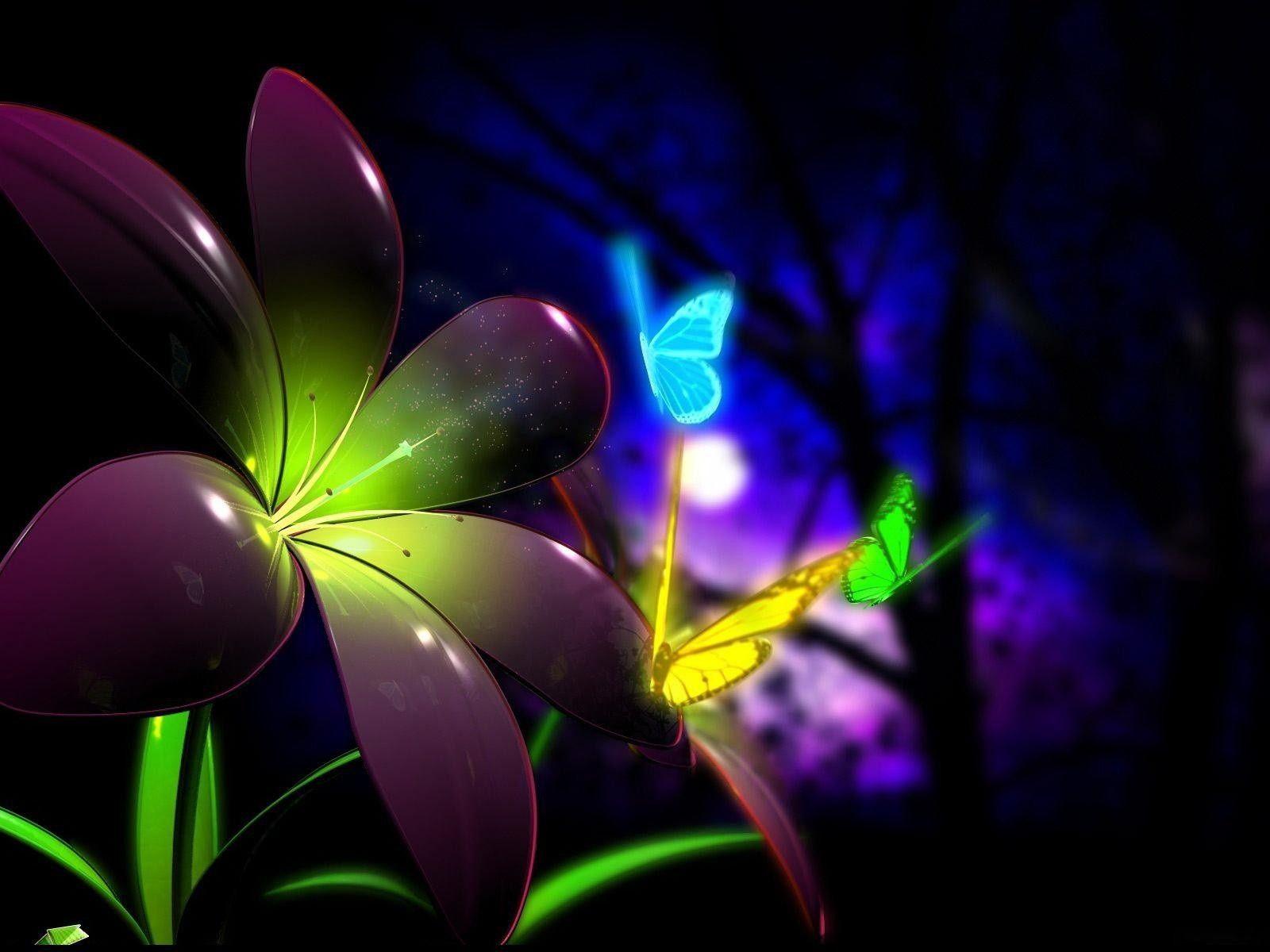 Shine butterfly and flowers at night. HD Wallpaper Rocks