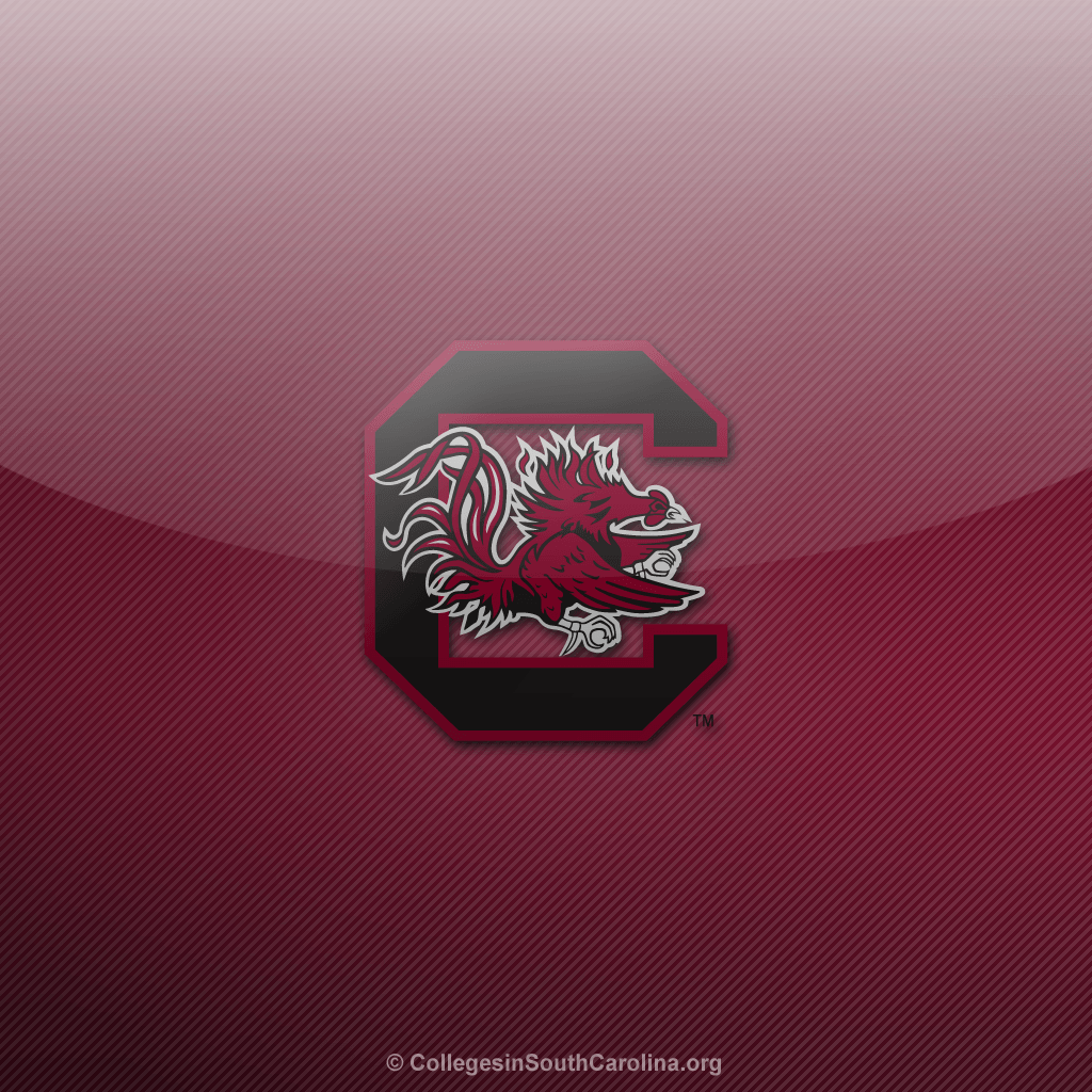 USC Gamecock Wallpaper