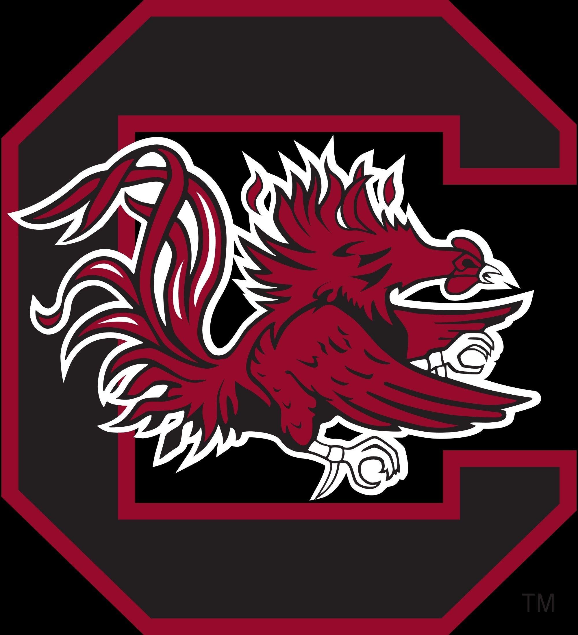 South Carolina Gamecocks Wallpaper 16 X 2198