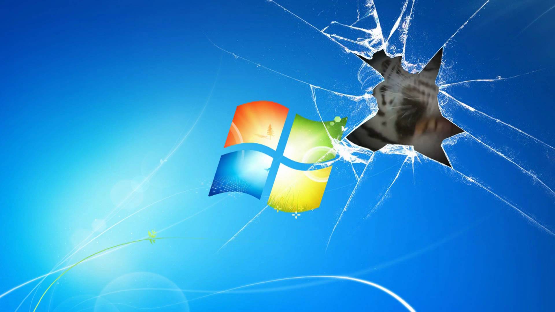 Windows 7 Wallpaper Animated Tiger on broken screen