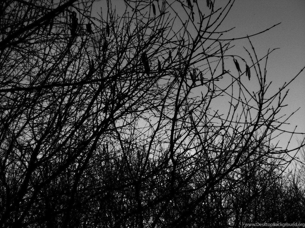 Silence, Wallpaper Metal Nature: Heavy Metal Wallpaper, Picture