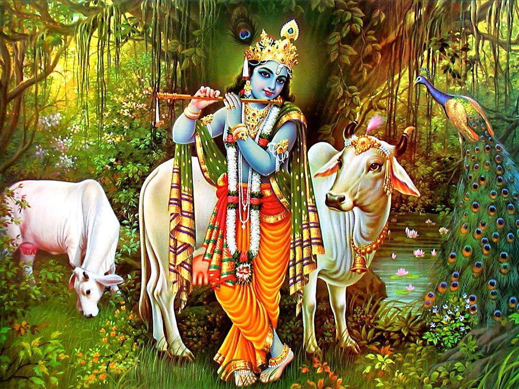Lord Krishna With Cow For Desktop 1080p Full Size