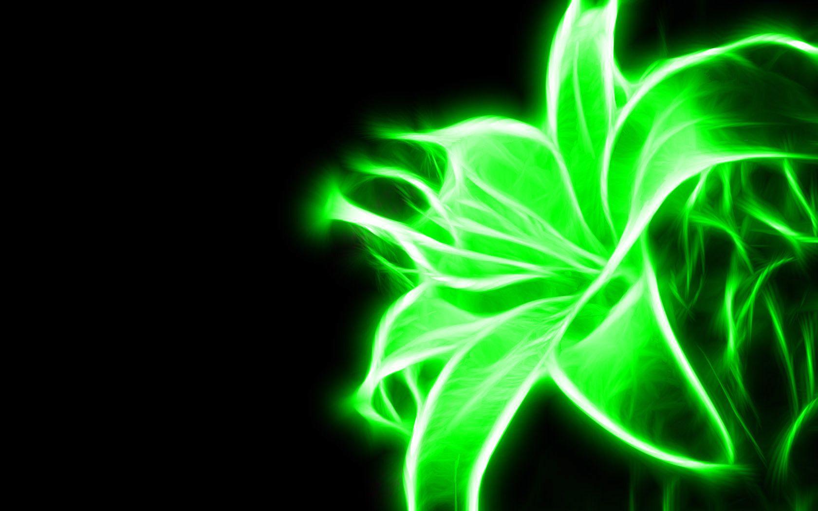Neon Green Flower Wallpaper HD Widescreen Wallpaper