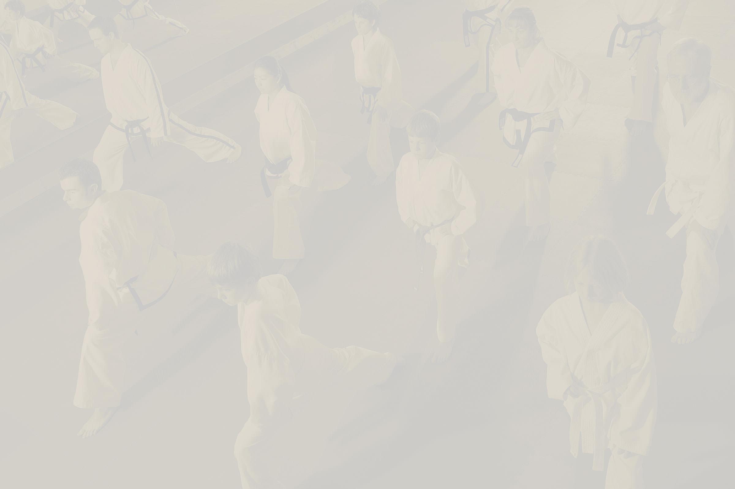 Martial Arts Backgrounds Wallpaper Cave