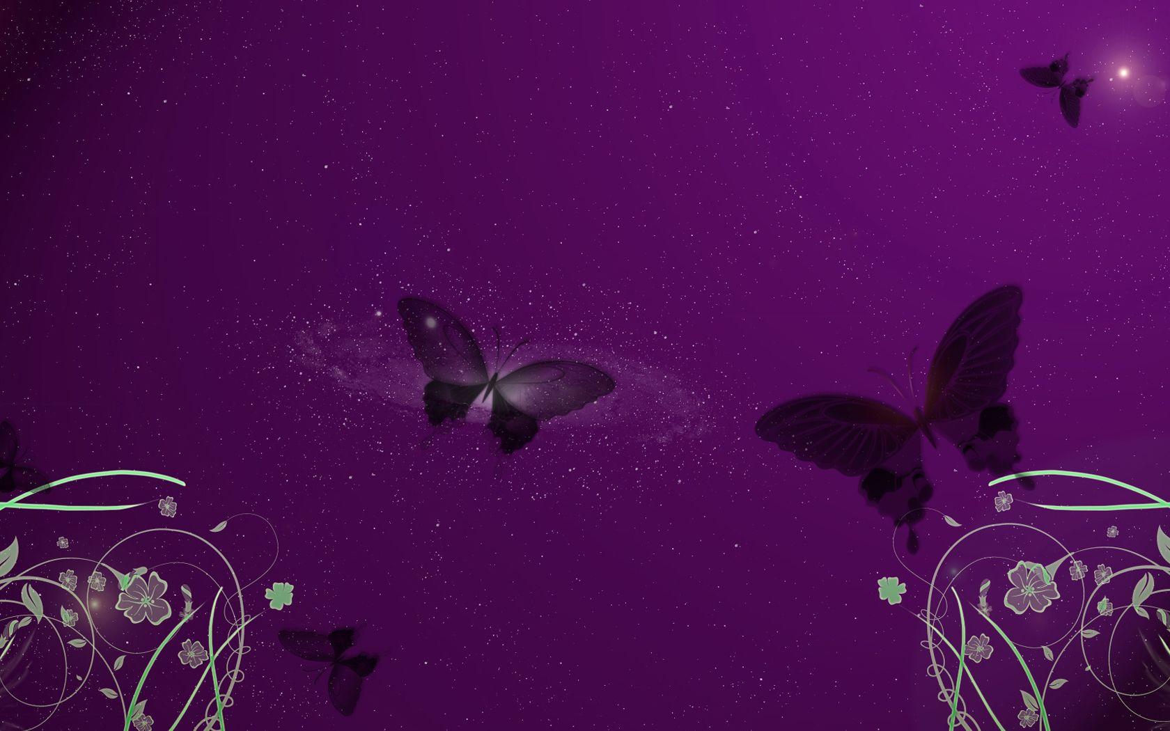 Purple Butterfly Wallpaper Vector_High Definition Wallpaper