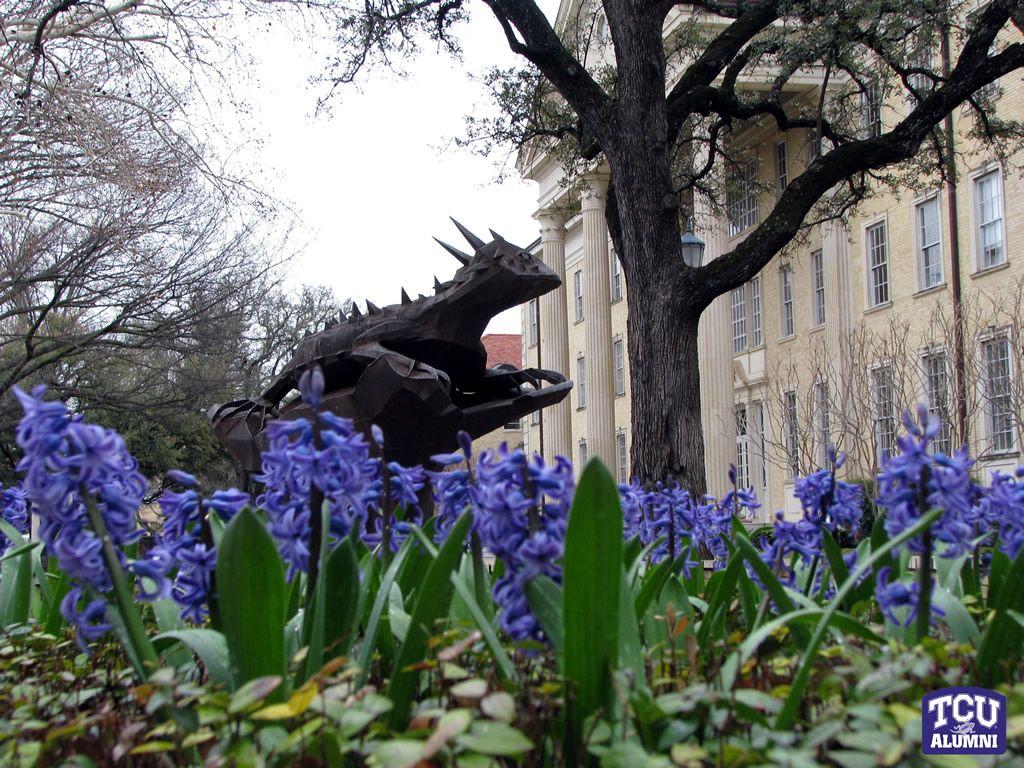 TCU Wallpaper, Chrome Browser Themes & More for Horned Frog Fans