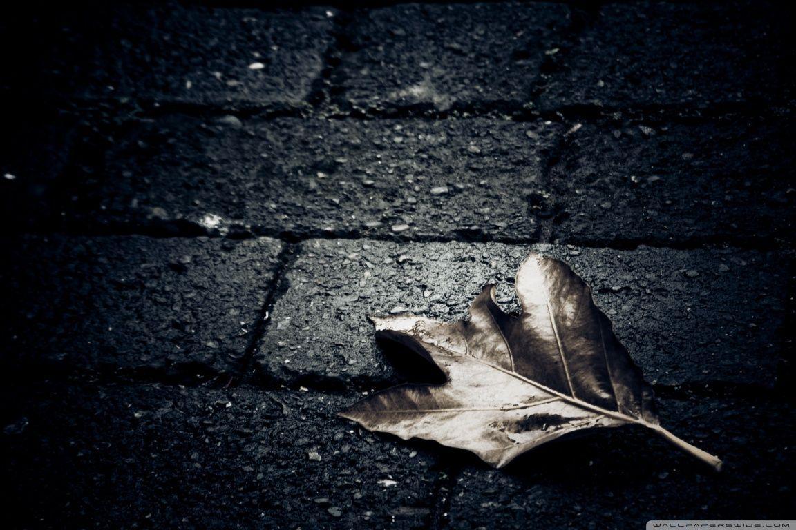 Full HD p Lonely Wallpaper HD, Desktop Background 1500×997 Lonely