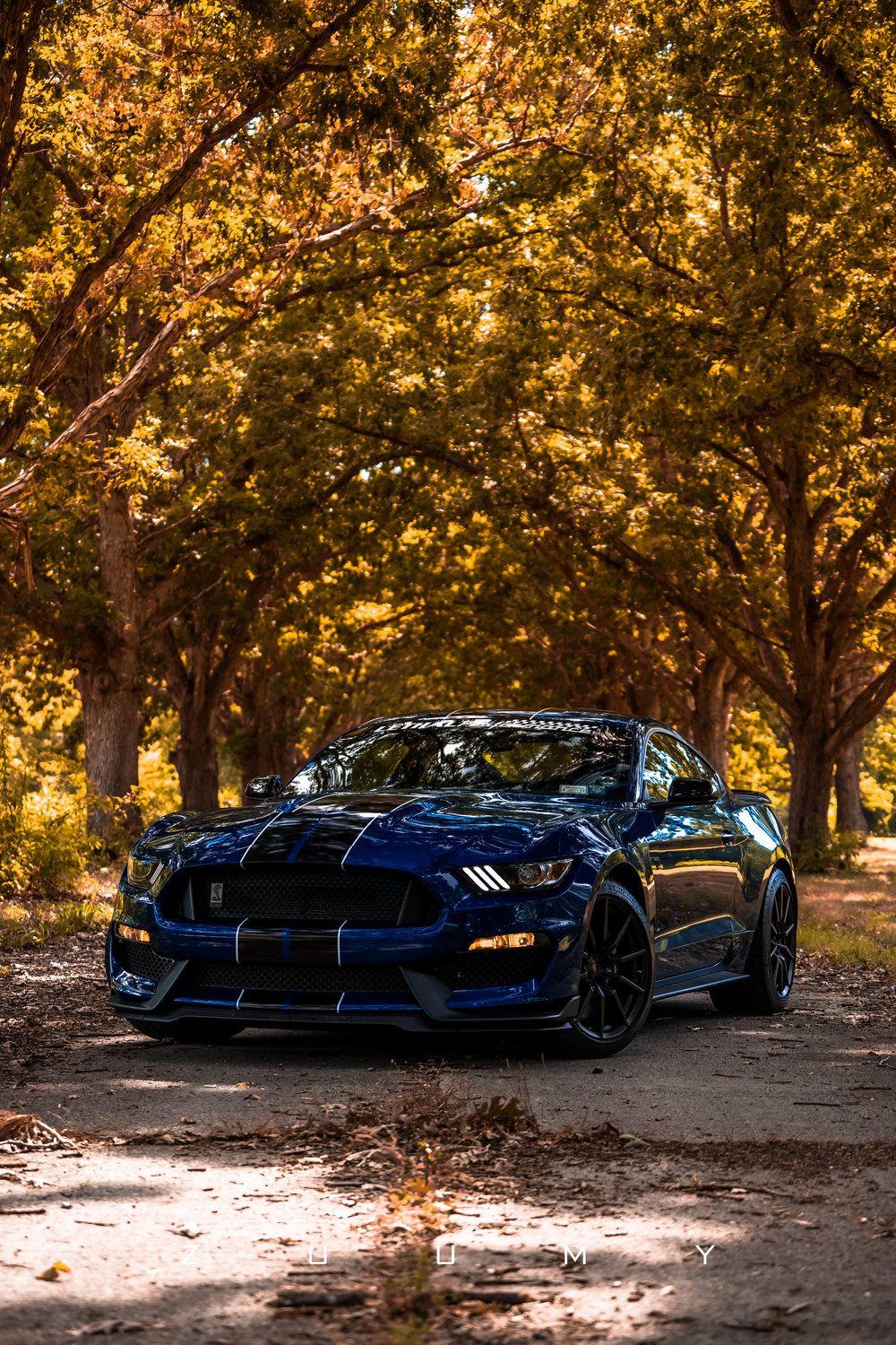 Ford Mustang Shelby GT350» 1080P, 2k, 4k HD wallpapers, backgrounds free  download | Rare Gallery
