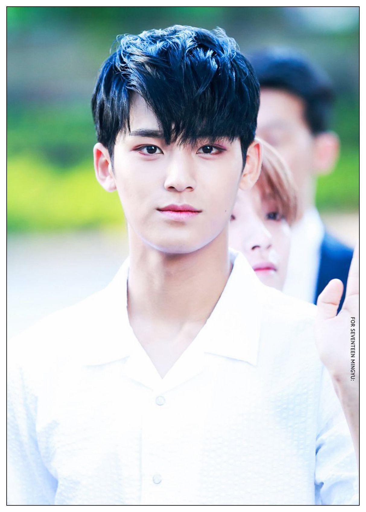 Seventeen Mingyu photo star Coated poster Painting Home Room Decor