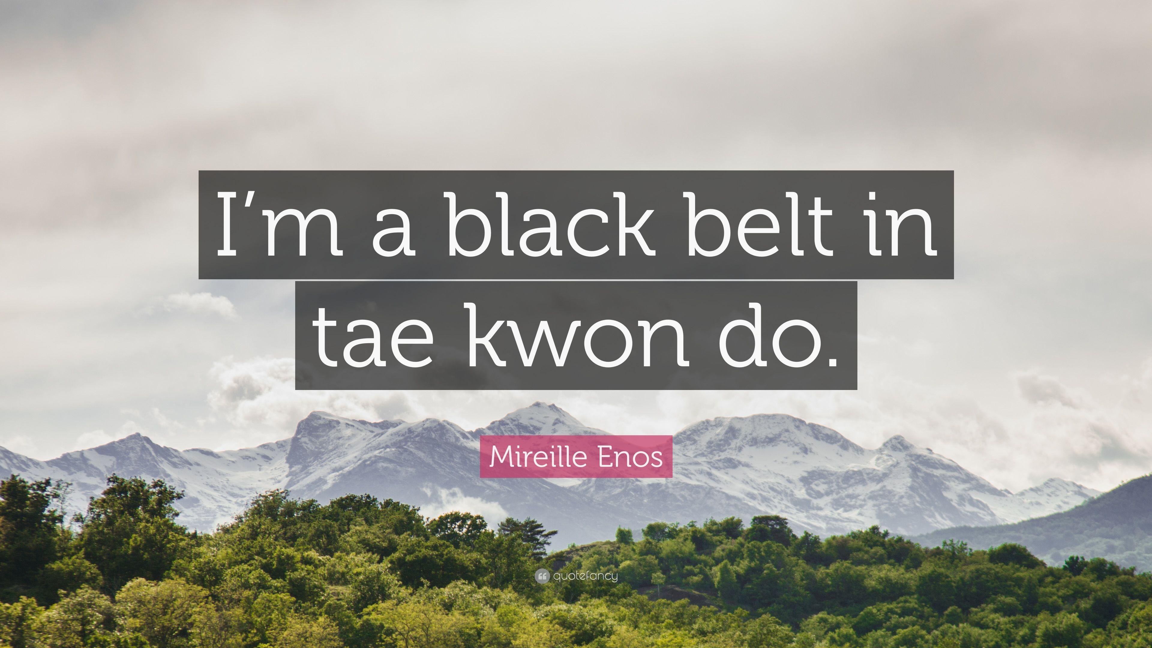 Mireille Enos Quote: “I'm a black belt in tae kwon do.” 7