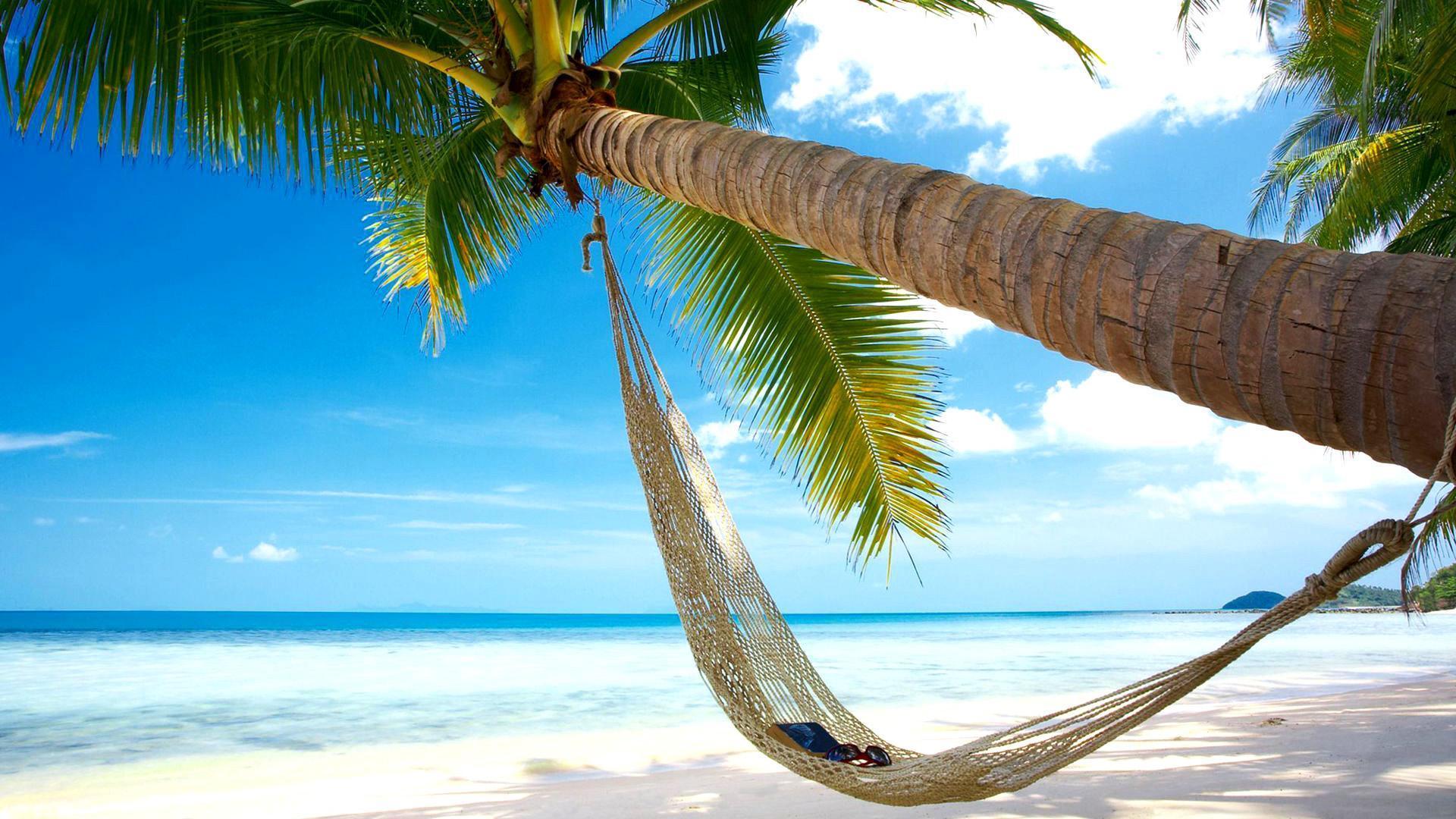 wallpaper Beaches, coconut trees, hammocks, blue sea sky scenery HD