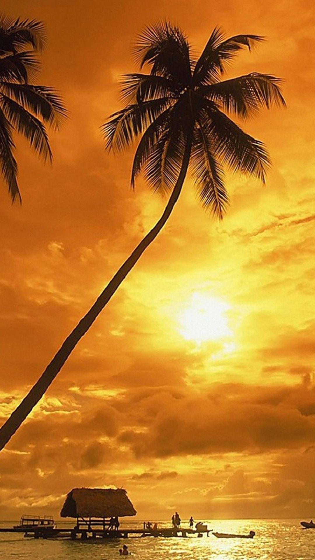 Sunset coconut trees Galaxy S5 Wallpaper
